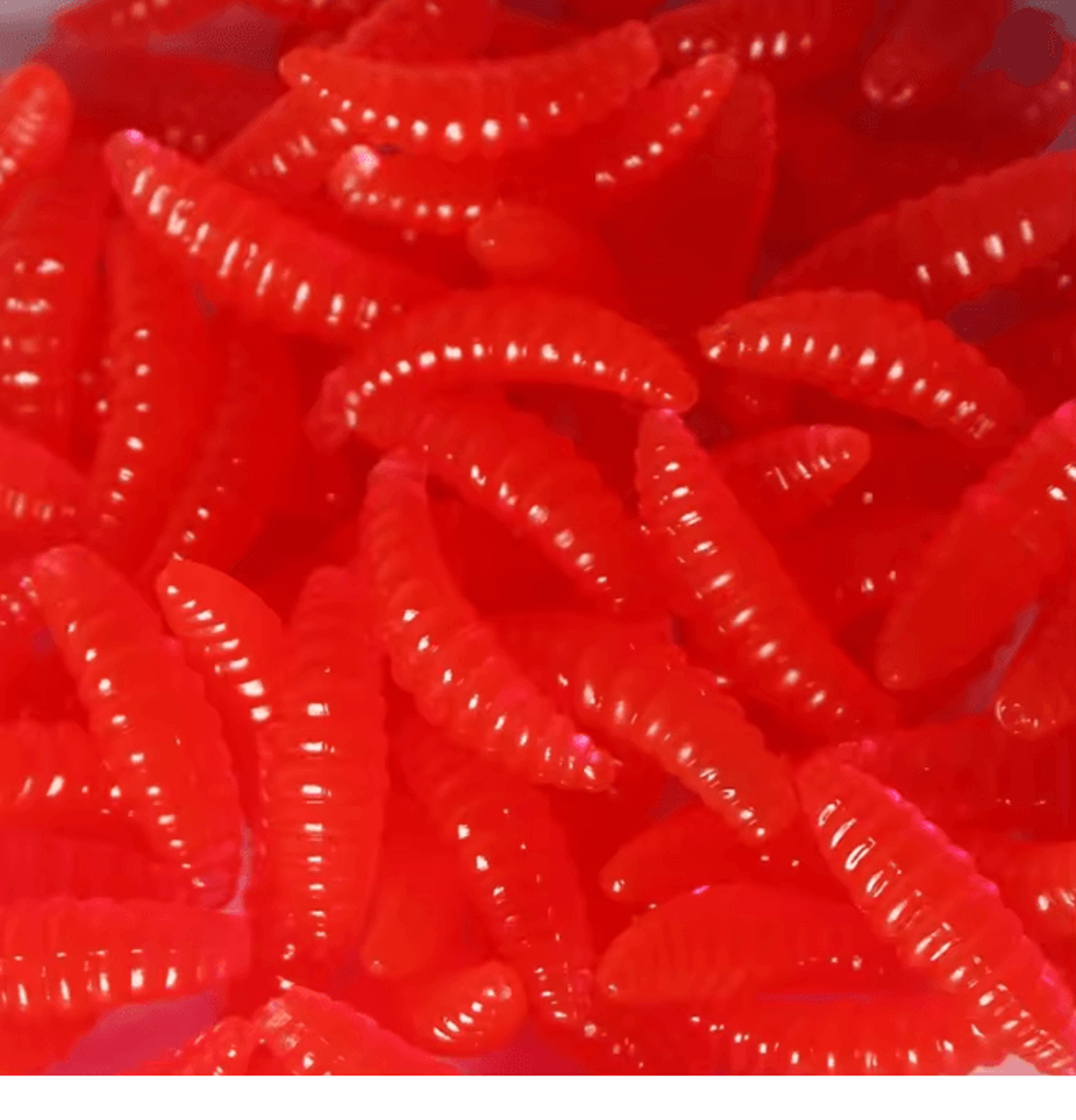 Soft Fishing Worm Bait Set Realistic Lifelike Soft Lures 50 Pack 6