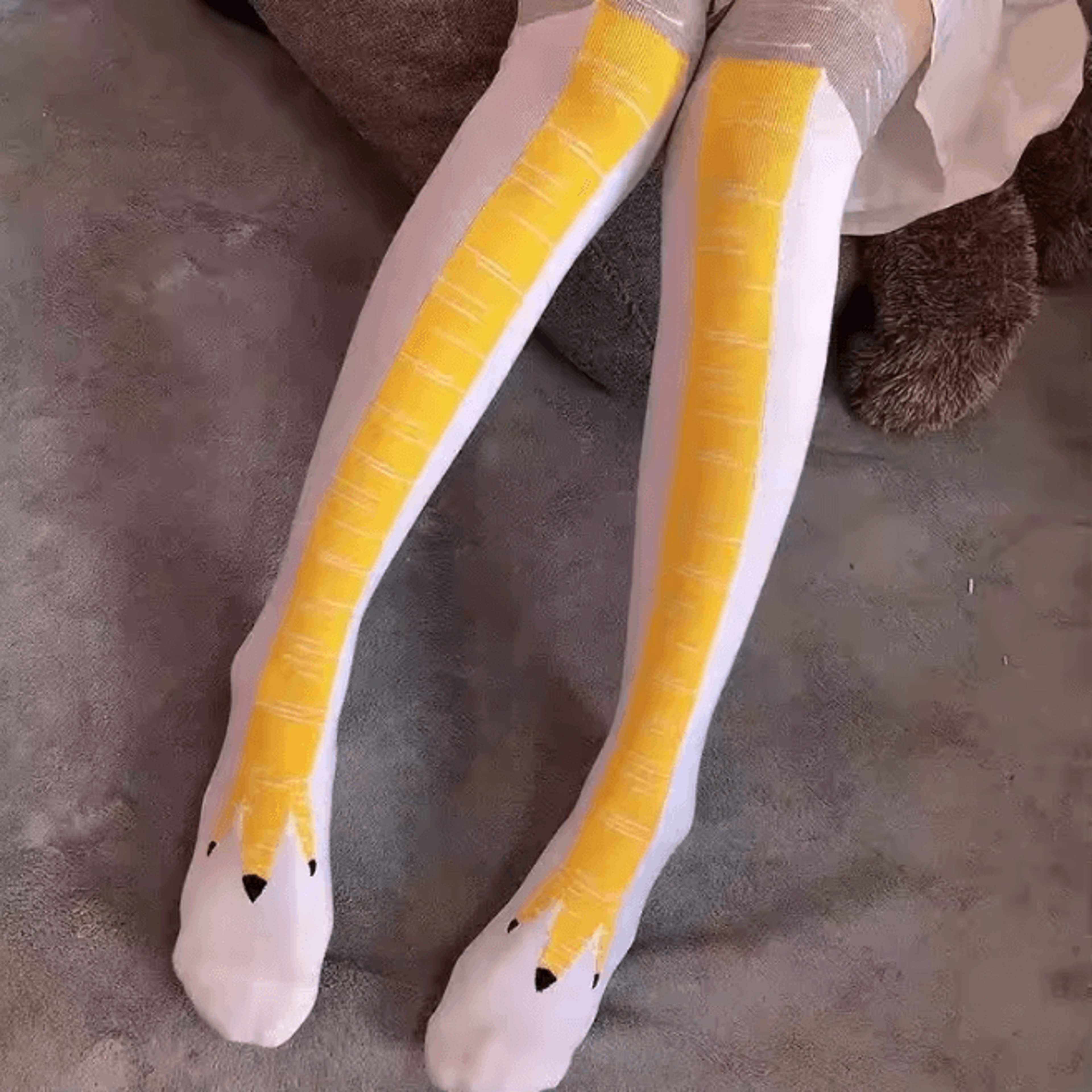 CluckStyle Knee High Chicken Feet Funny Socks 9