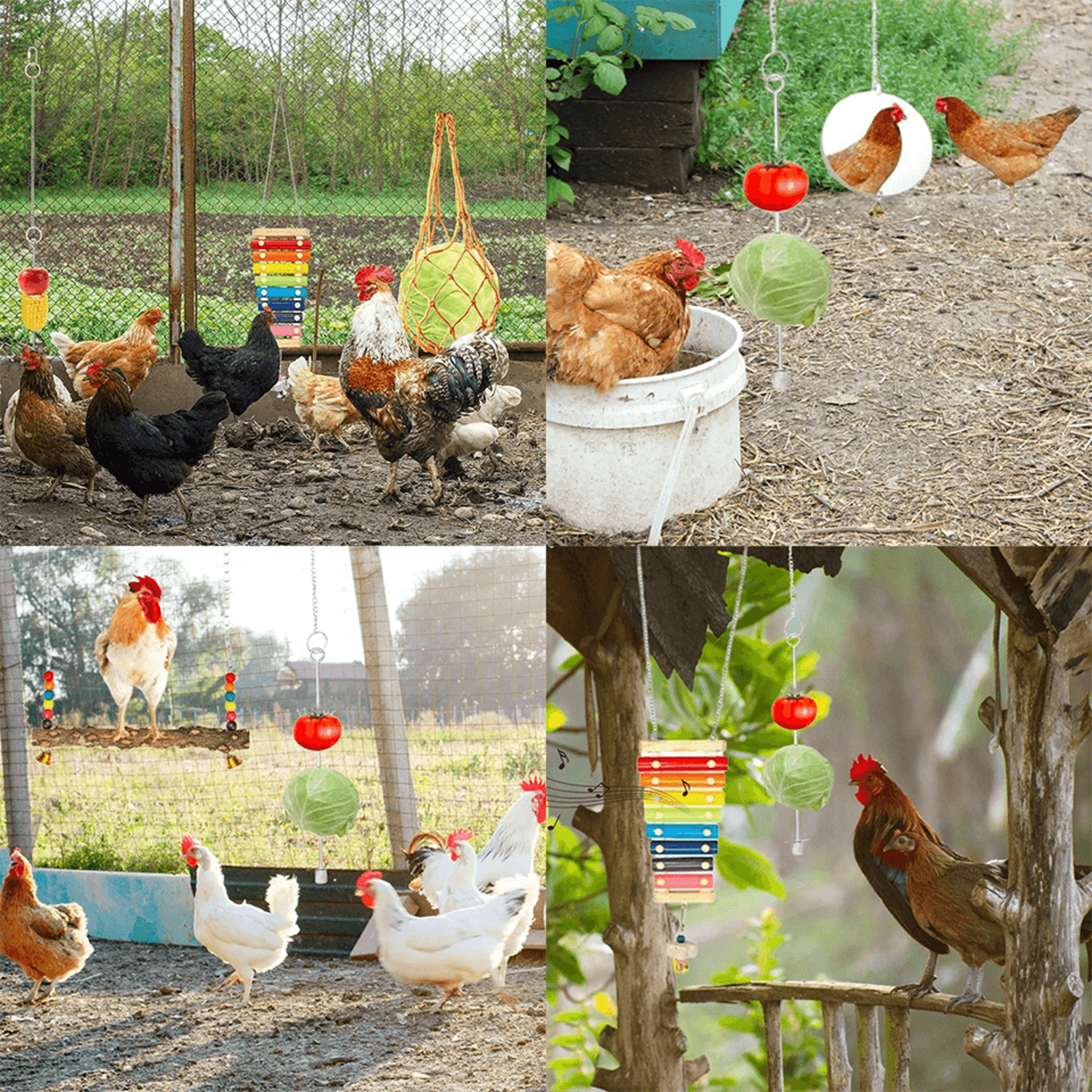 Chicken Foraging Toy Set Hanging Enrichment Toys For Poultry 2