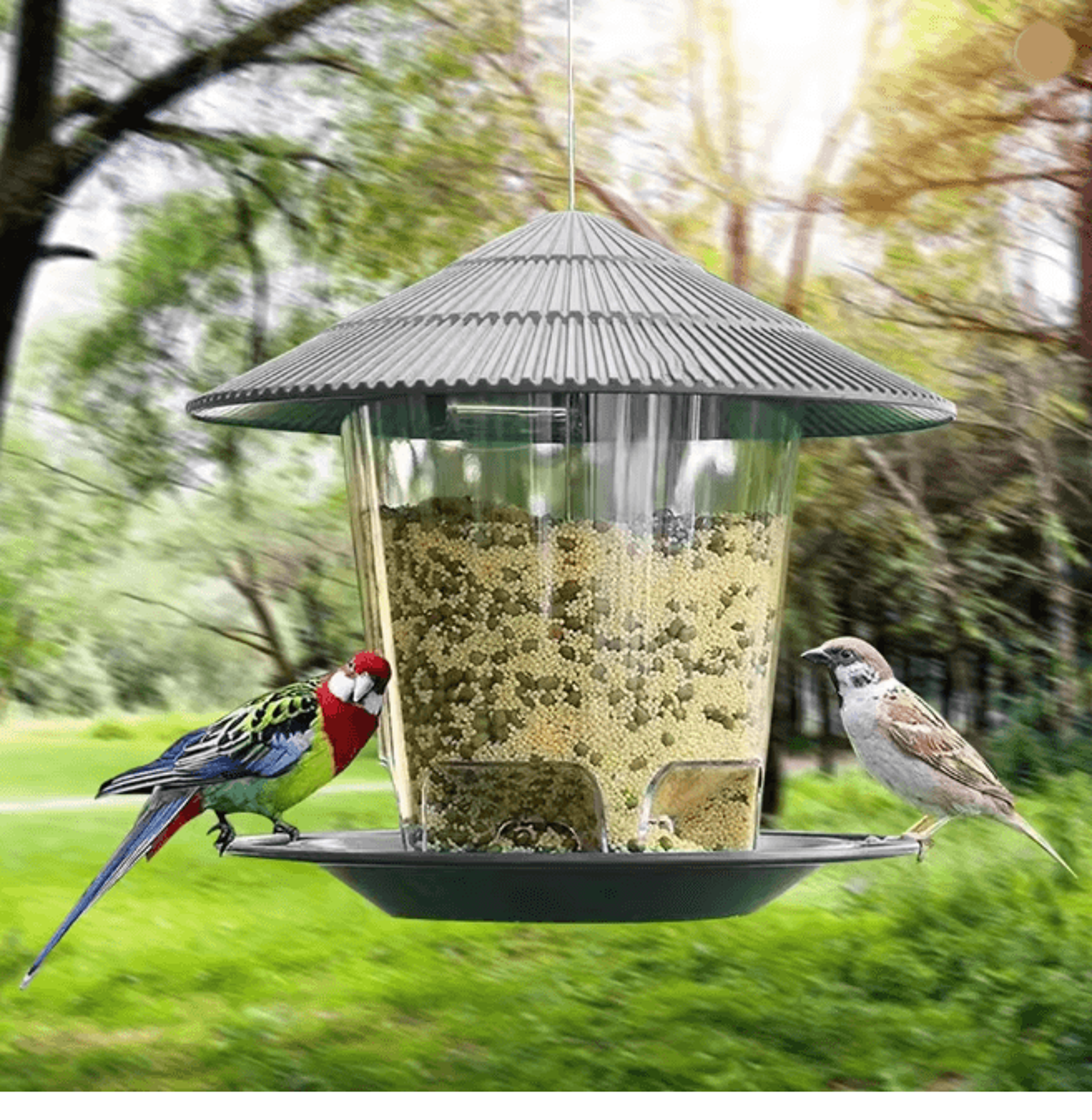 Hanging Bird Feeder Peanut Nut Feeding Station For Outdoor Garden 1