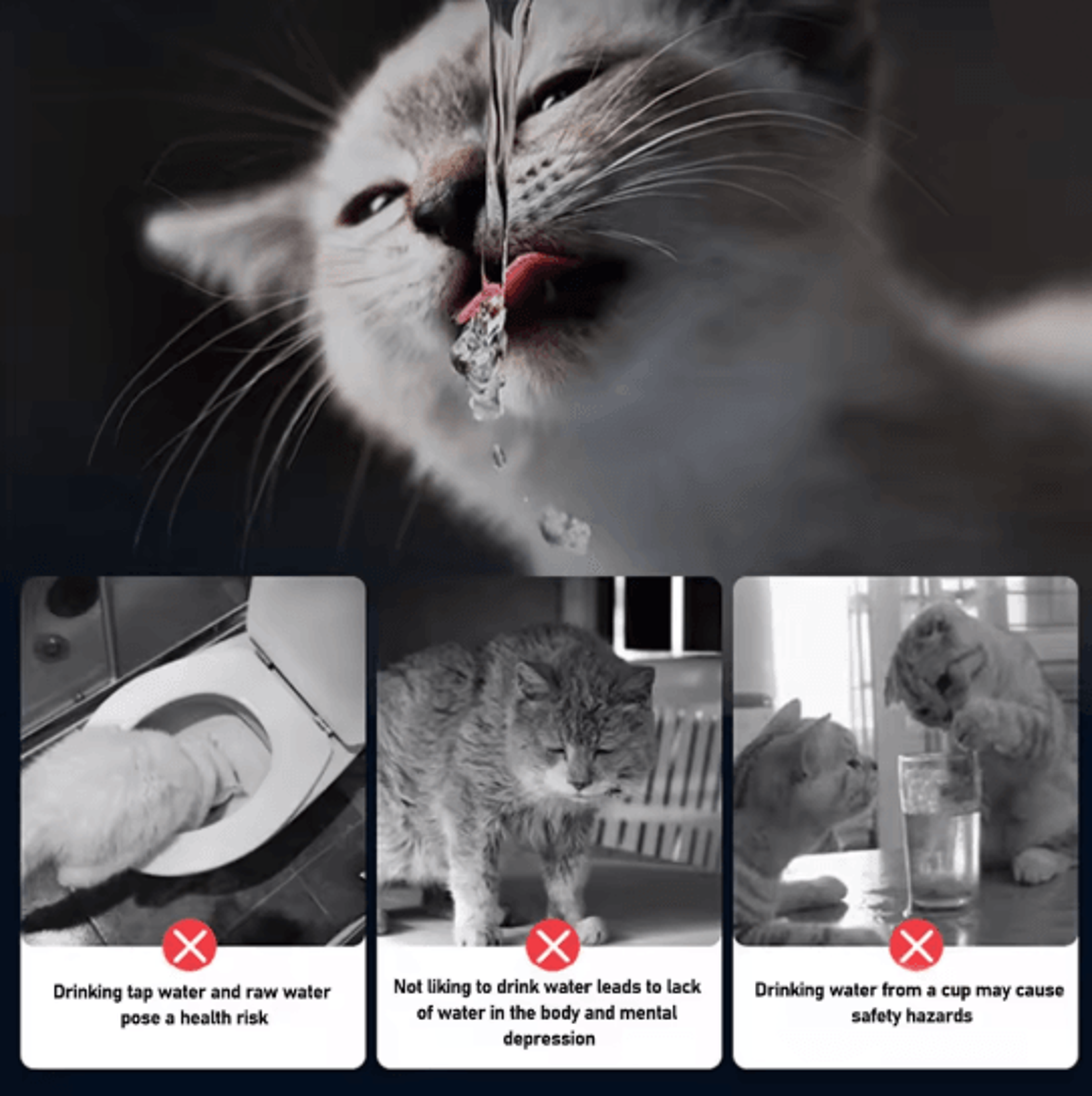 Stainless Steel Cat Water Fountain 25L Automatic Pet Water Dispenser 1