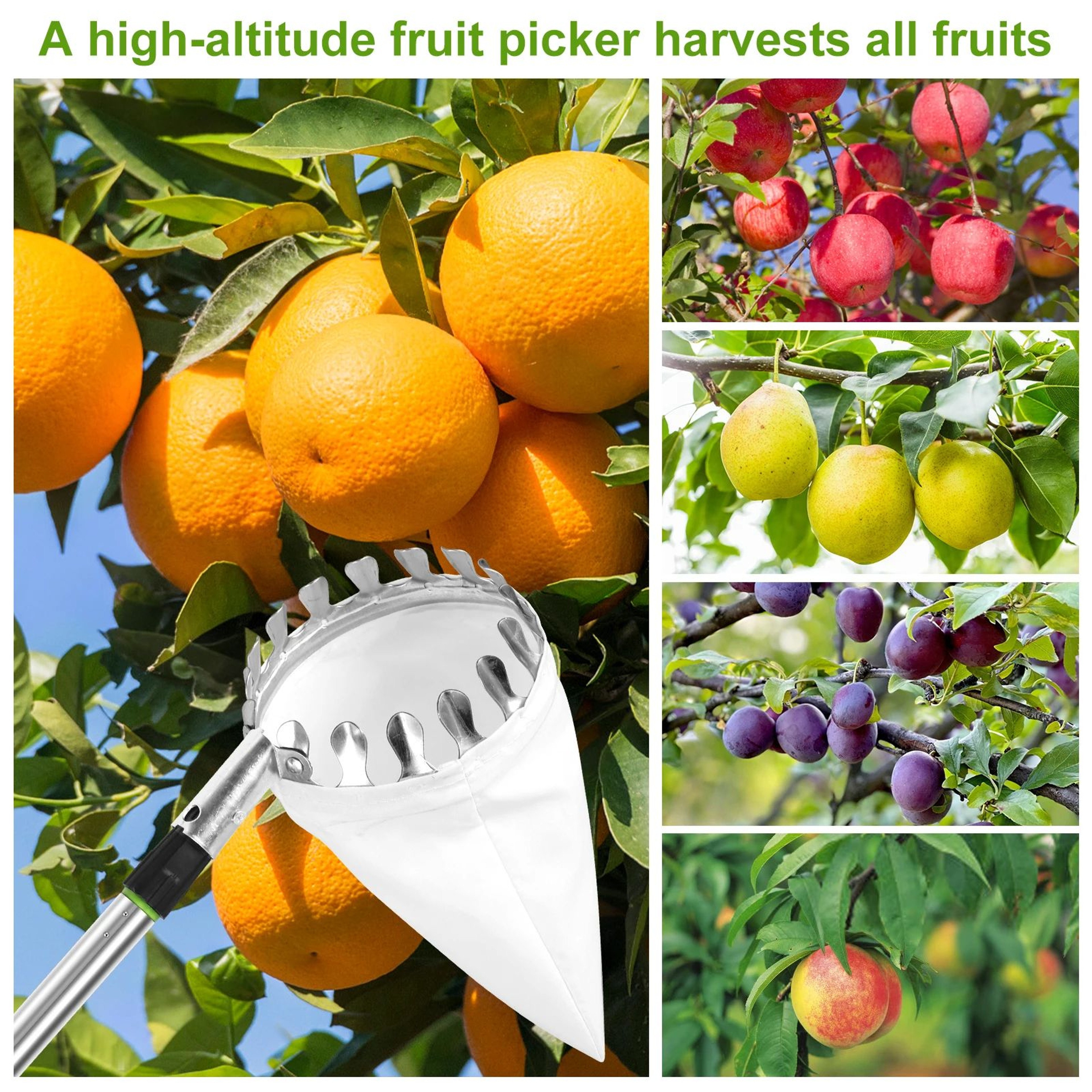 Extendable Fruit Picker Tool With Basket For Easy Tree Harvesting 3