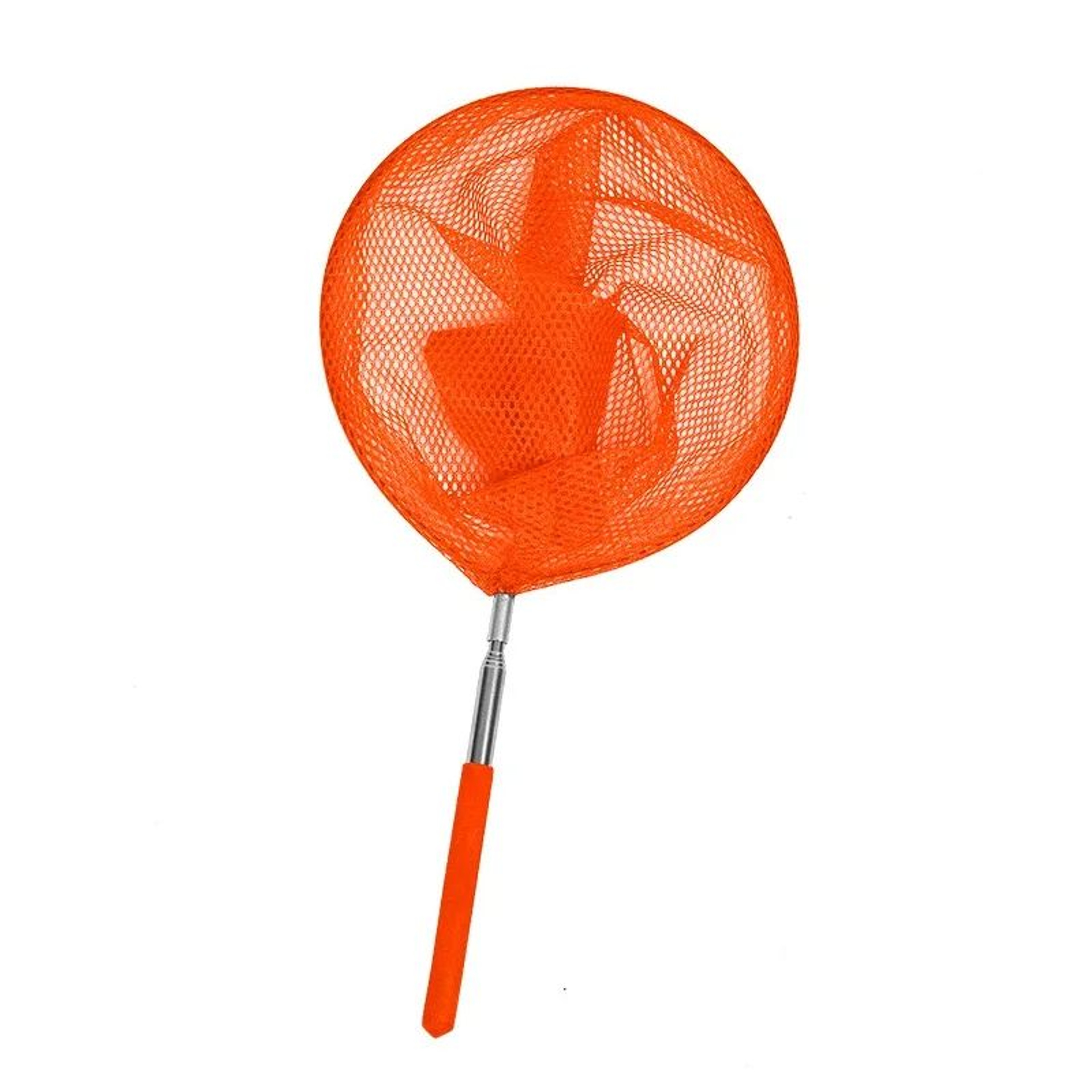 Telescopic Butterfly Net Insect Catcher With Extendable Handle 8