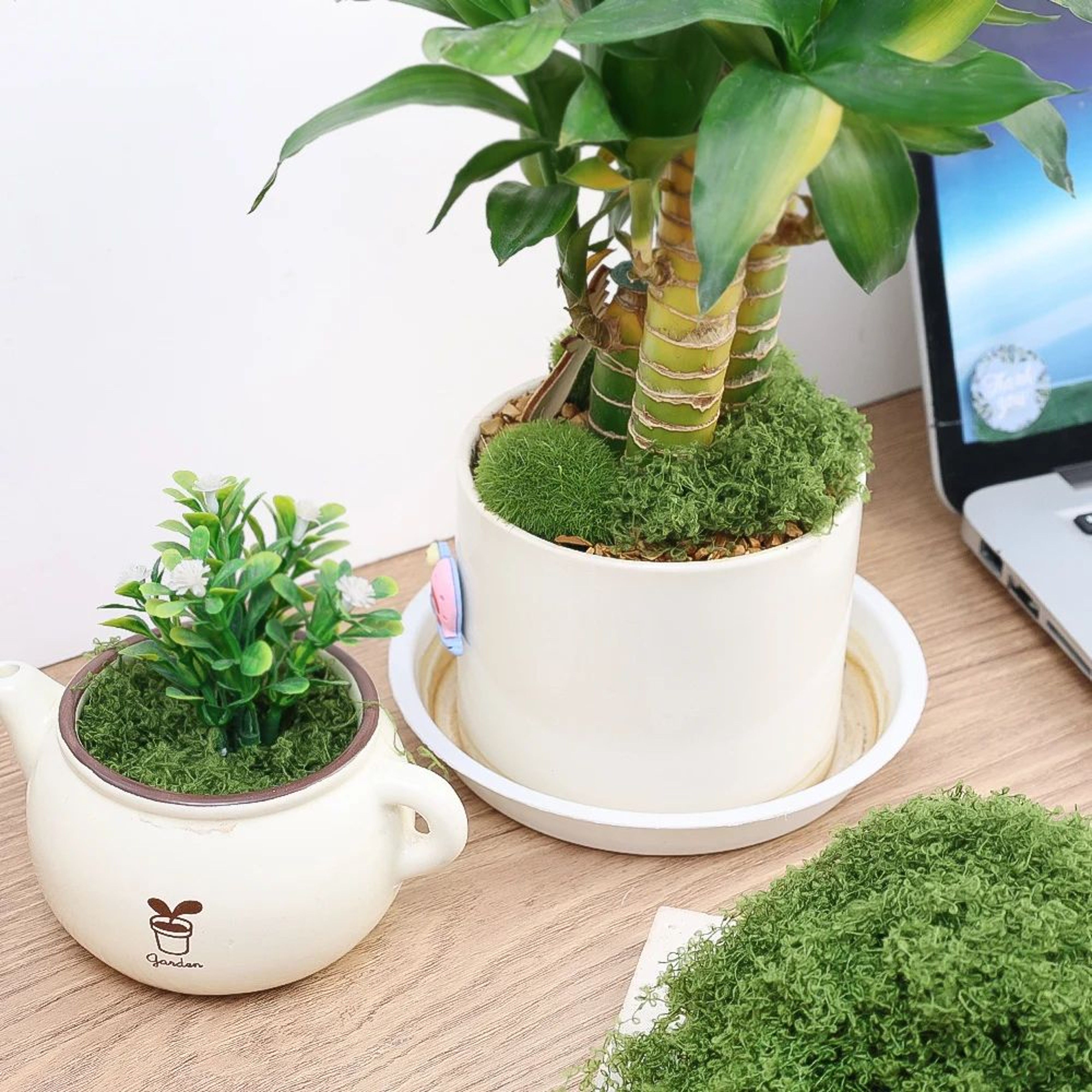Artificial Moss Grass Mini Landscape Decor Craft Plant Filler 2