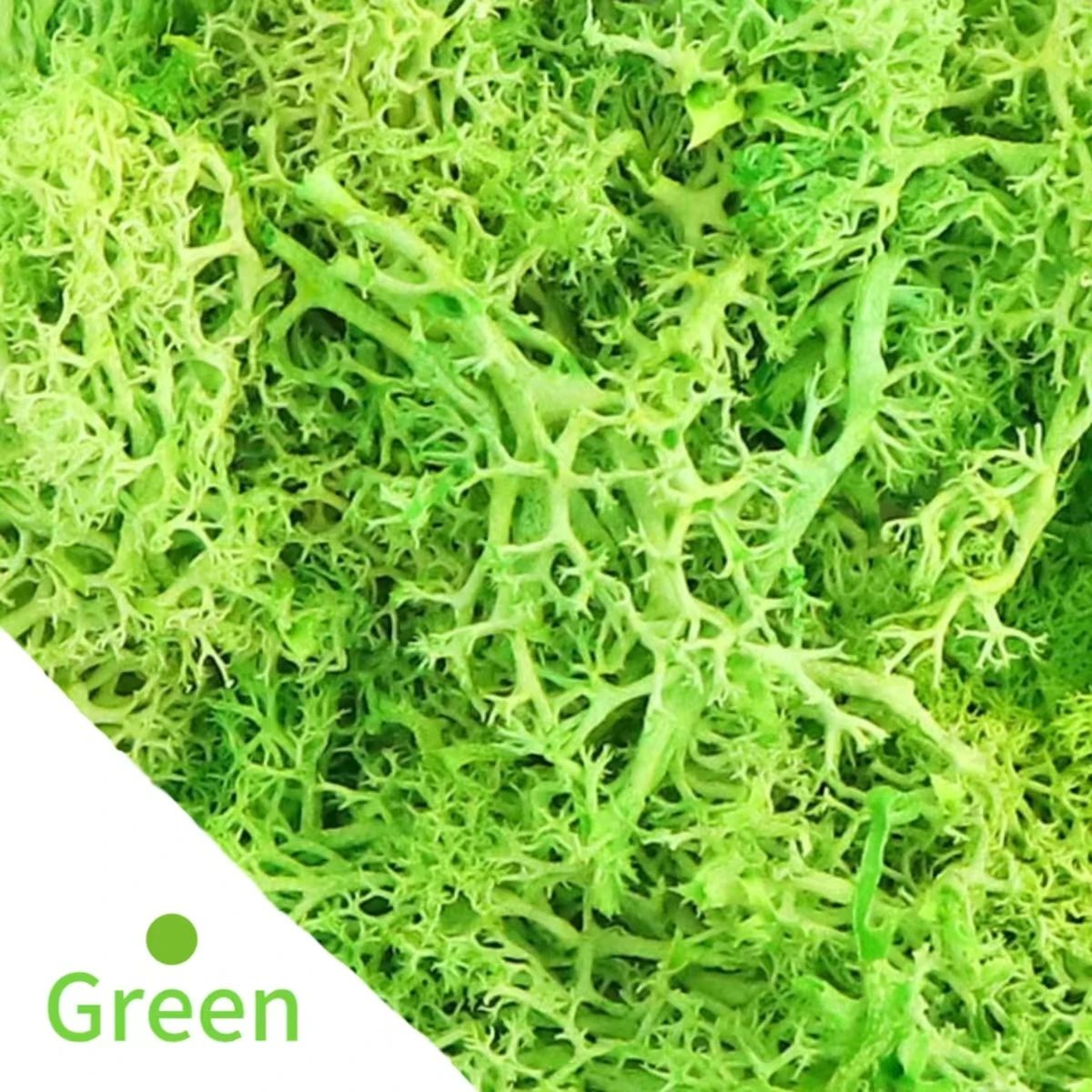 Natural Green Moss Decor Artificial Moss For Mini Garden And Wall Design 7