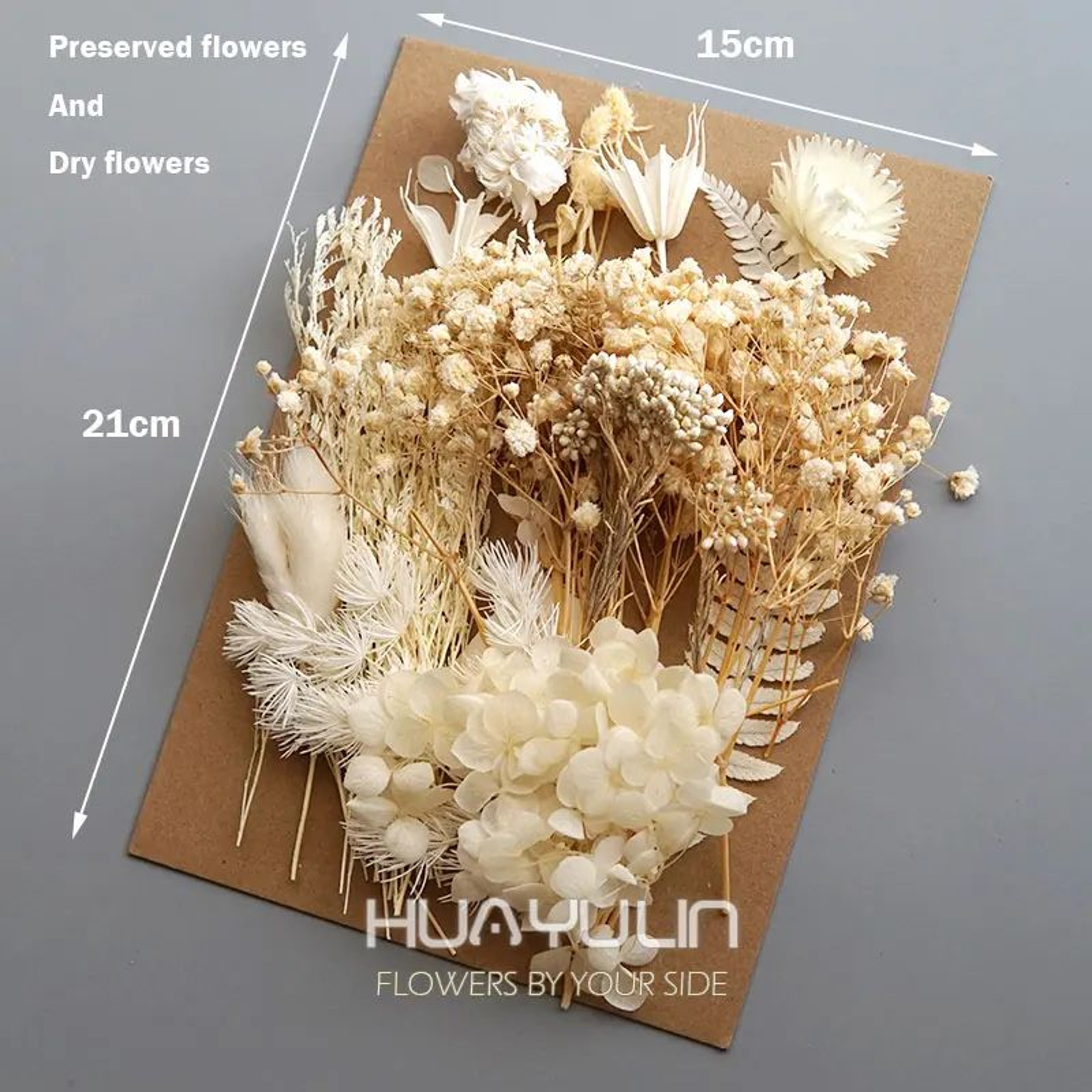 Preserved Hydrangea Dried Flowers Set For Resin Crafts Candle Making And DIY Decor 3