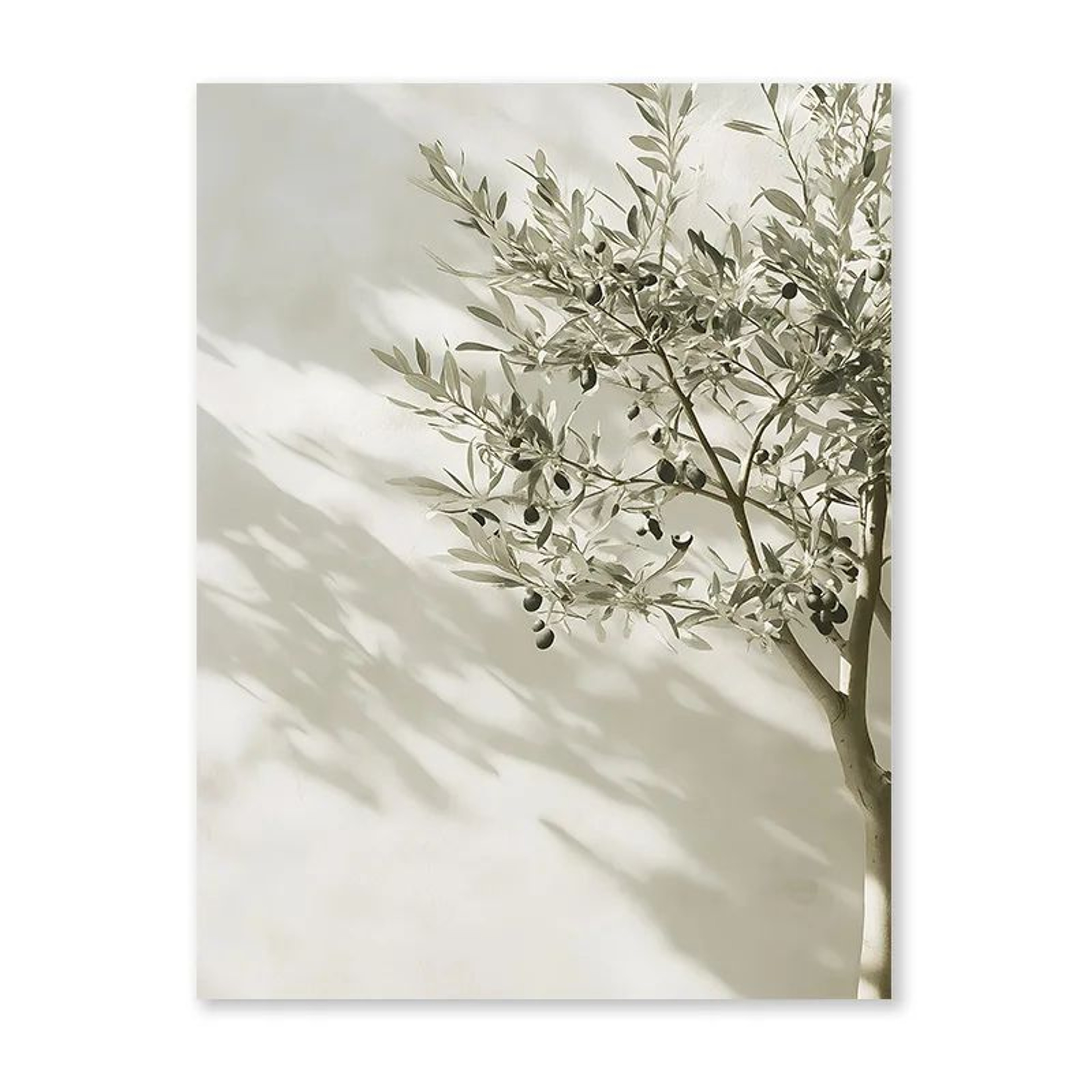 Mediterranean Olive Tree Landscape Wall Art Canvas Print 7