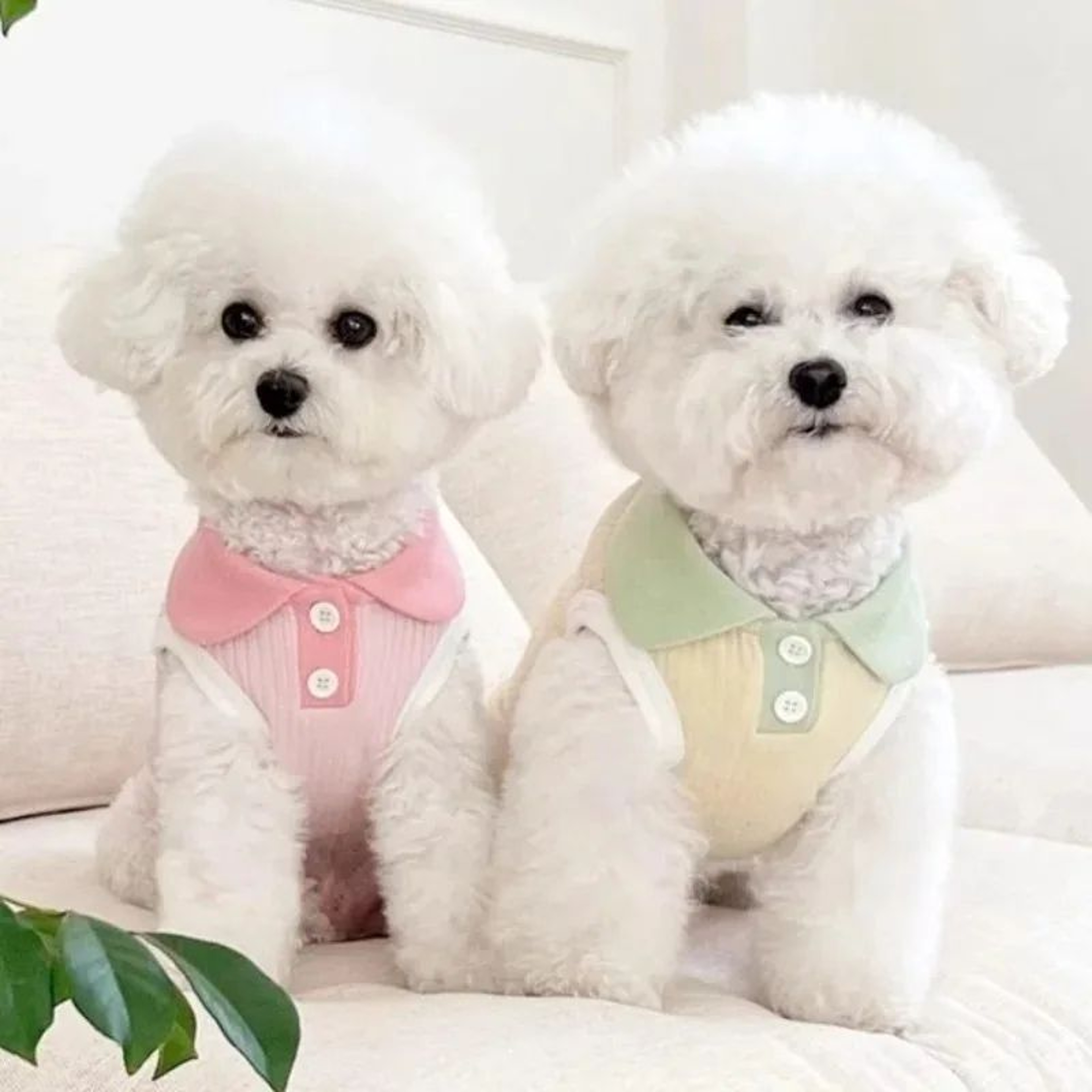 Cute Breathable Dog Shirt For Small And Medium Pets 2