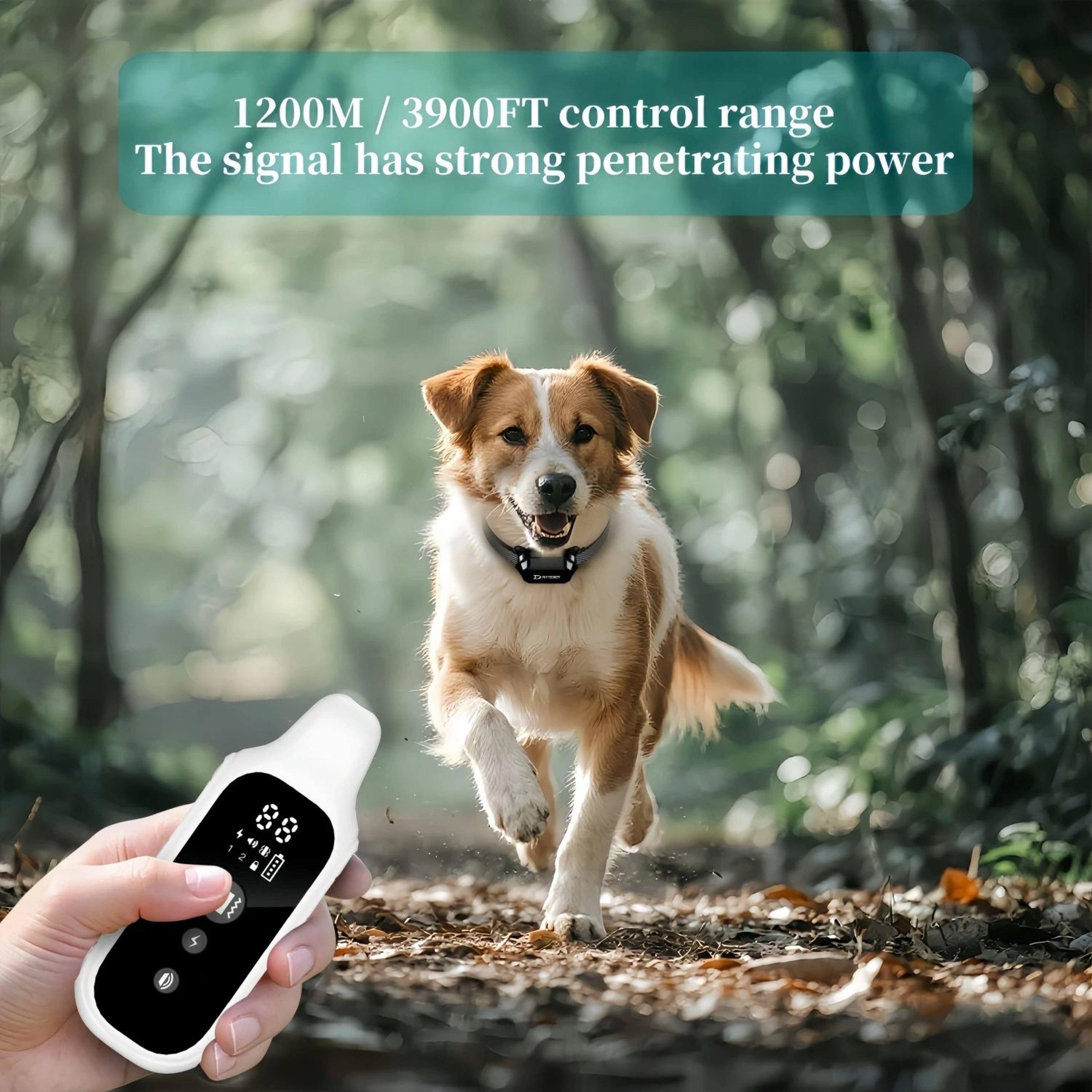 Waterproof Remote Dog Training Collar With LCD Display And 800m Range 3