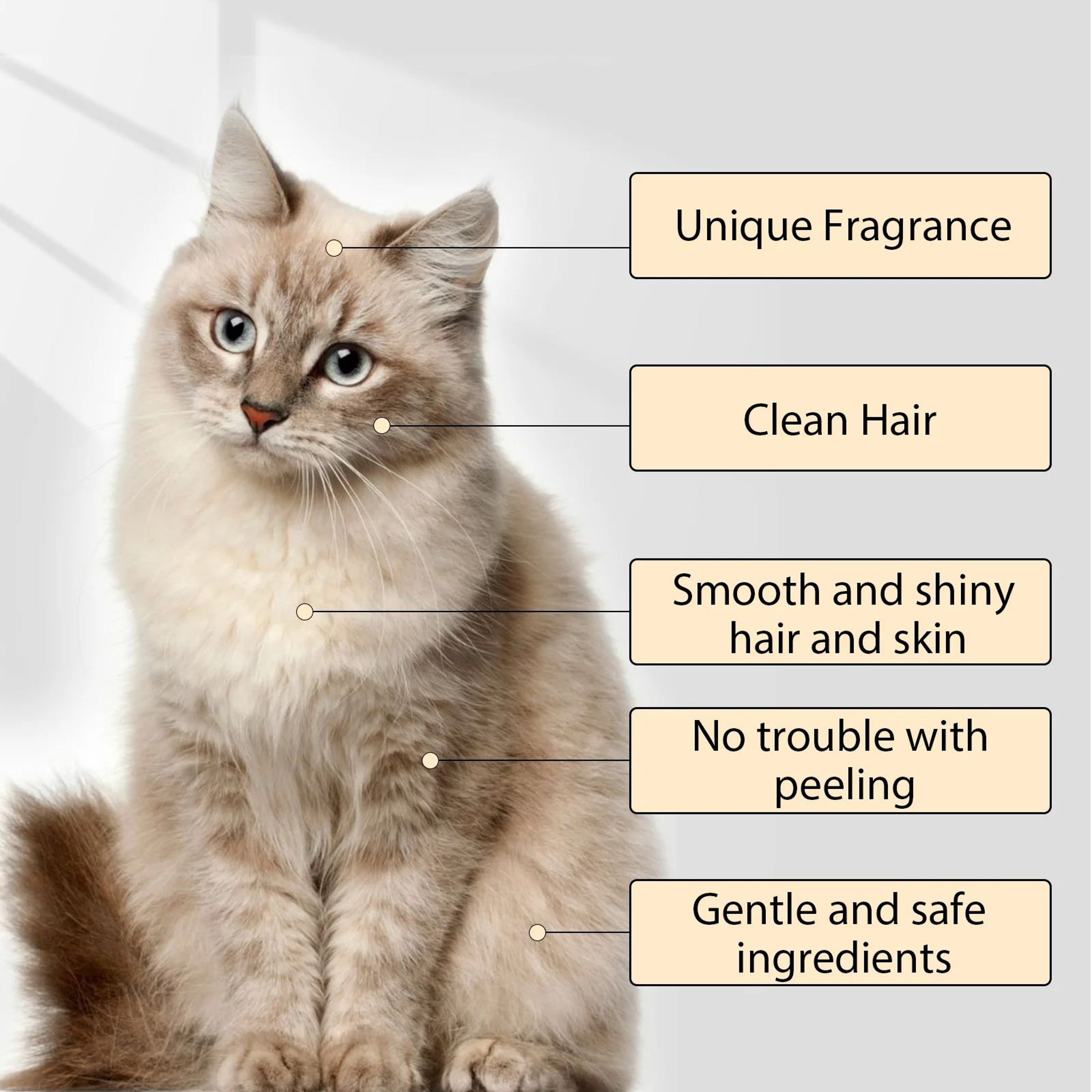 Moisturizing Anti Flea Dog Shampoo For Itching And Odor Control 4