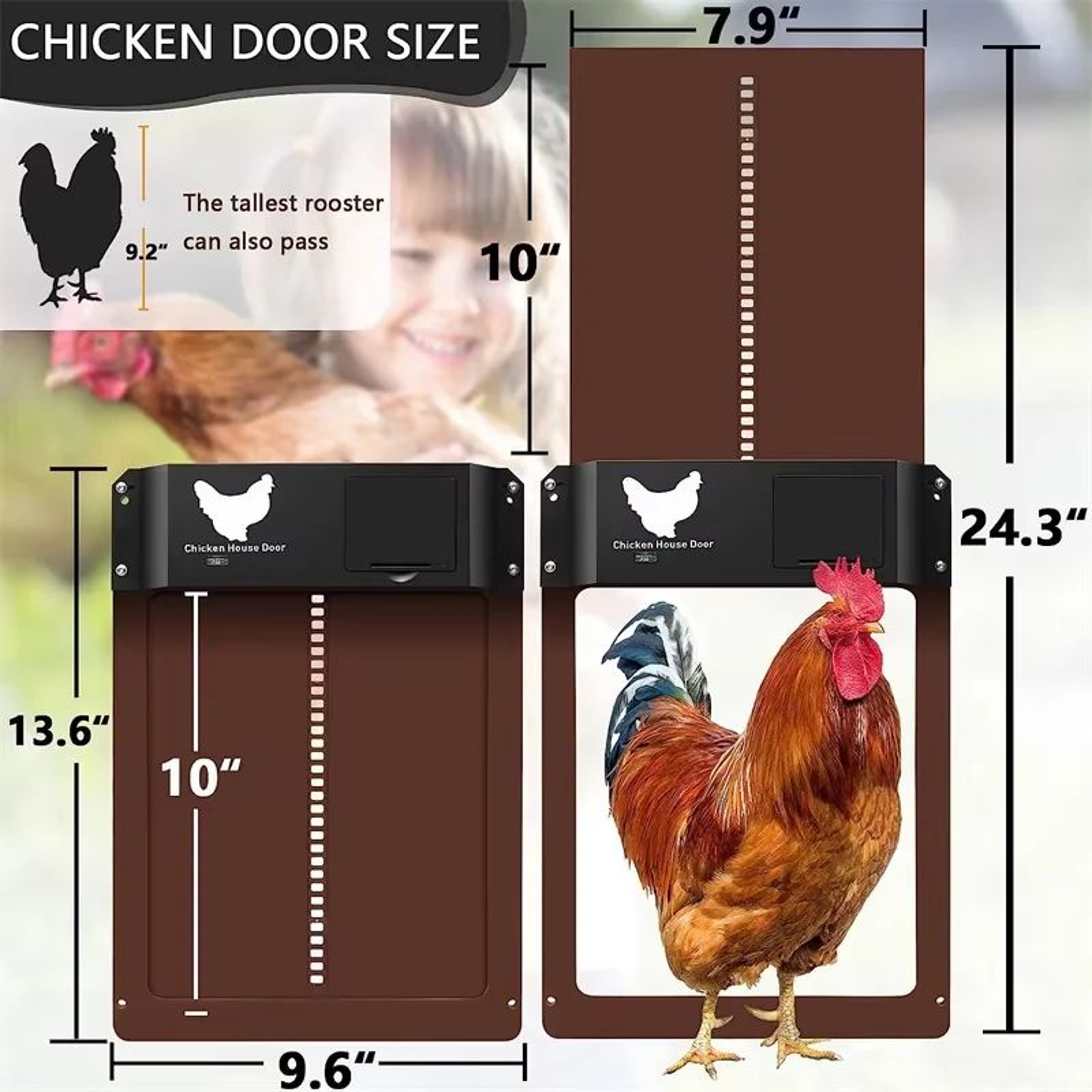 Automatic Chicken Coop Door With Light Sensor Opener 1