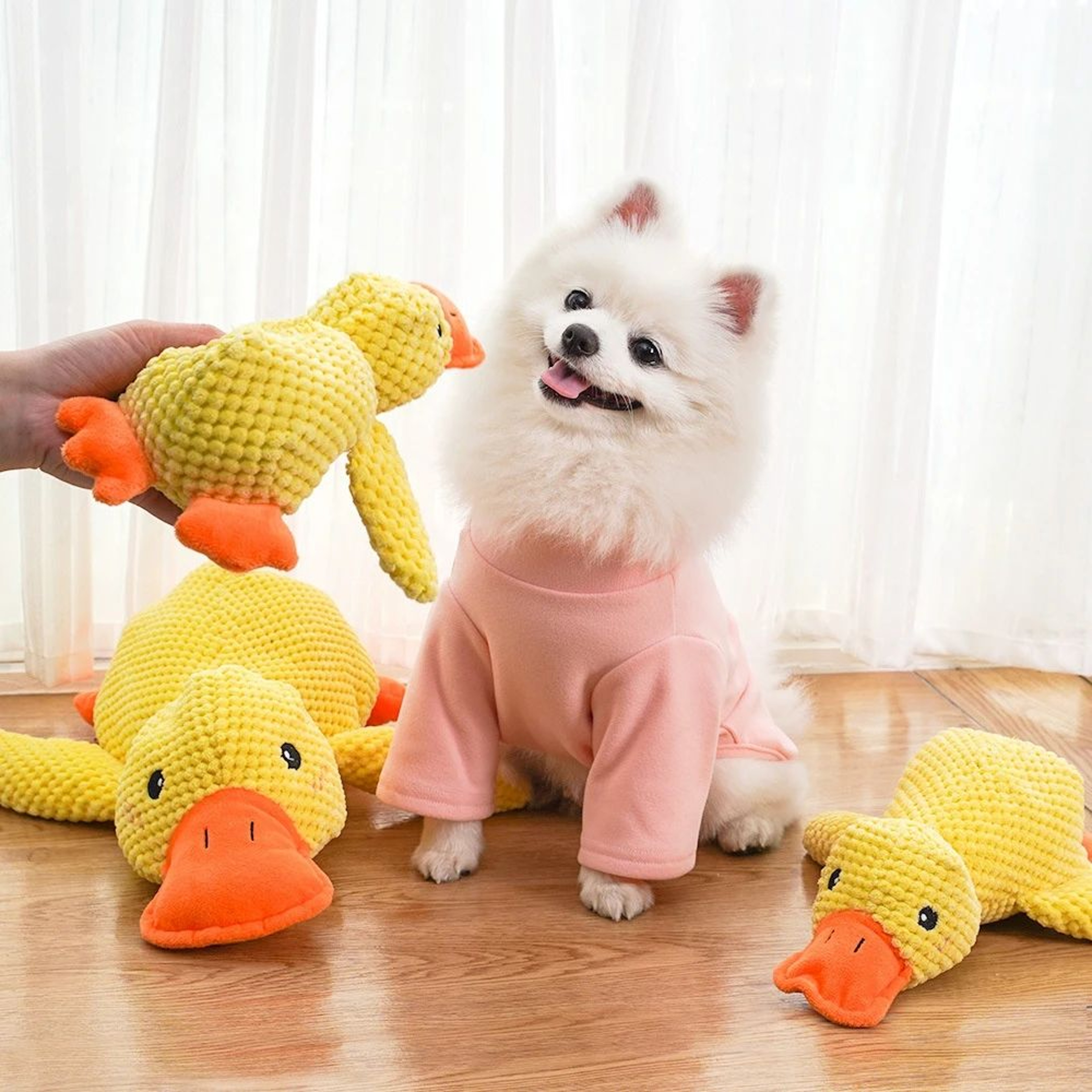 Plush Squeaky Teething Toy For Small And Medium Dogs 3