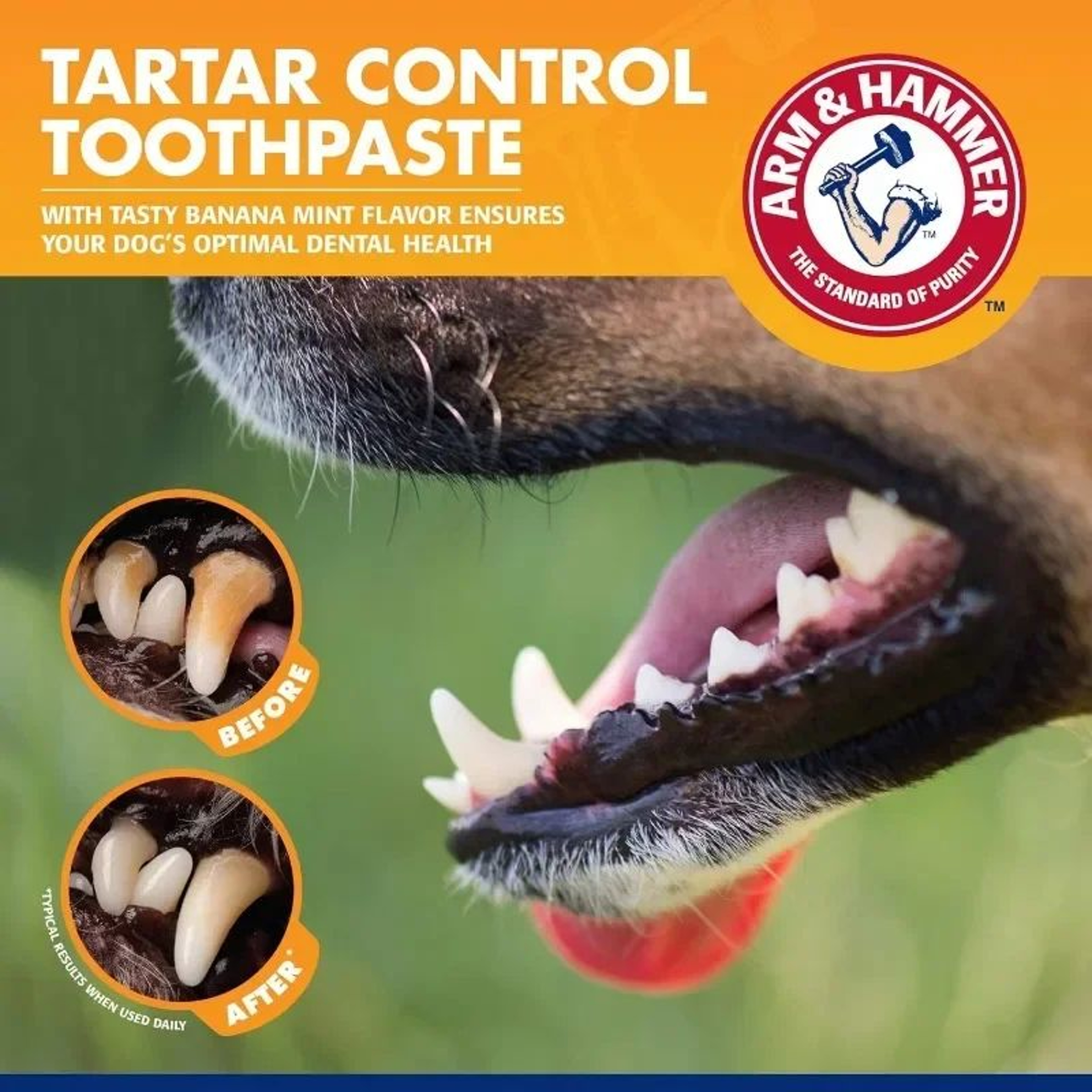 FreshPaw Pet Dental Care Toothbrush And Toothpaste Kit 5