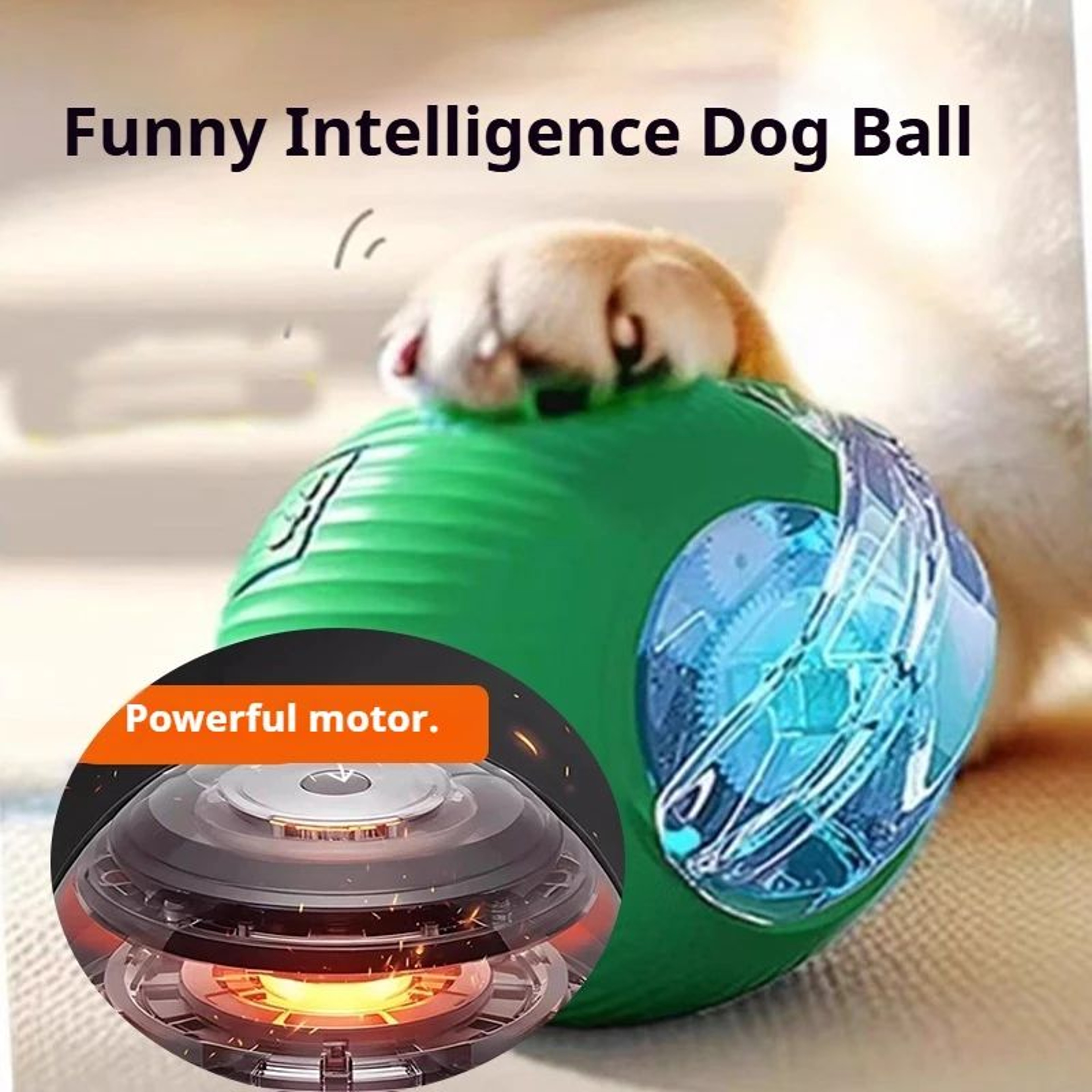 Smart Interactive Rolling Dog Ball Toys 1