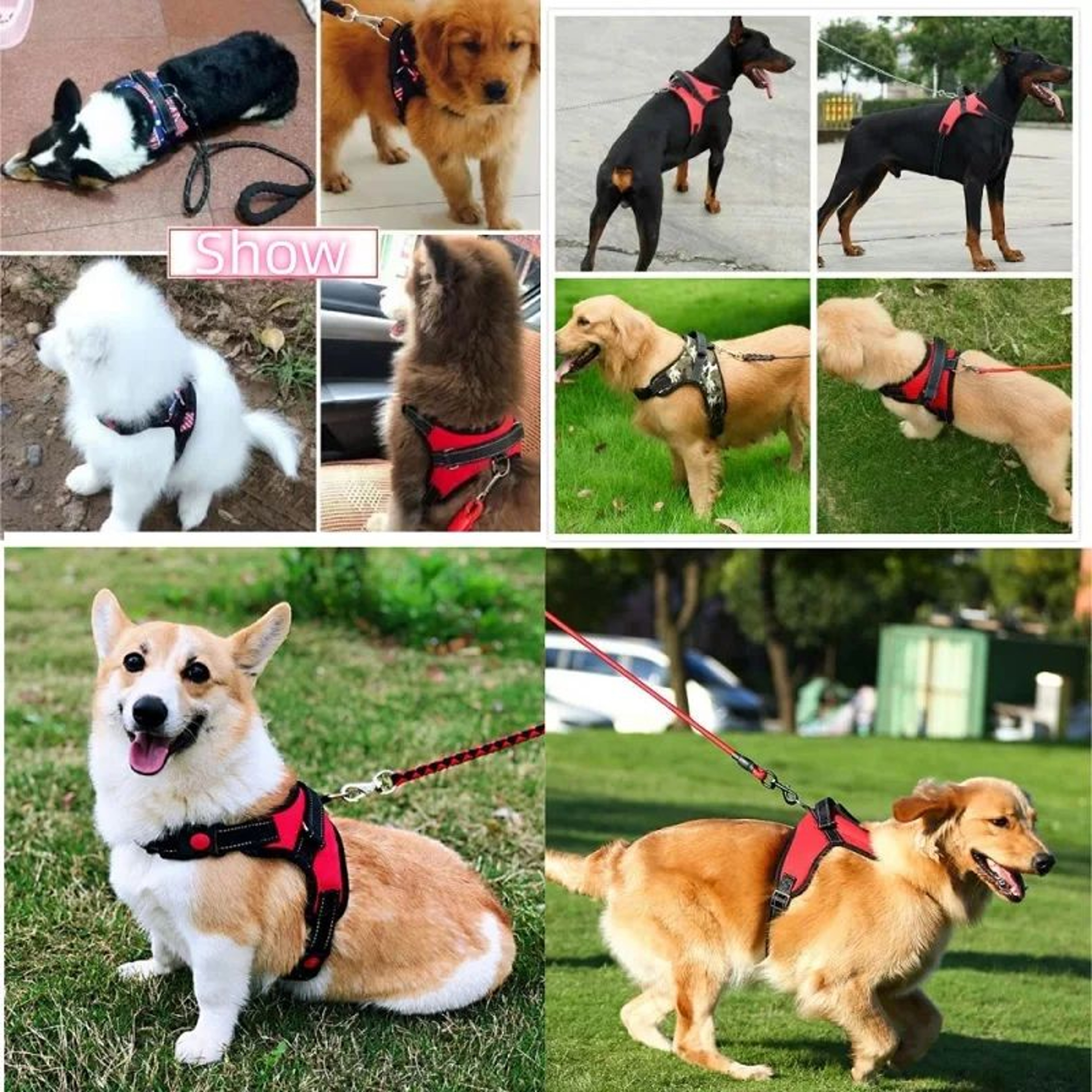 Strong Adjustable Dog Harness Vest For Small Medium And Large Dogs 1