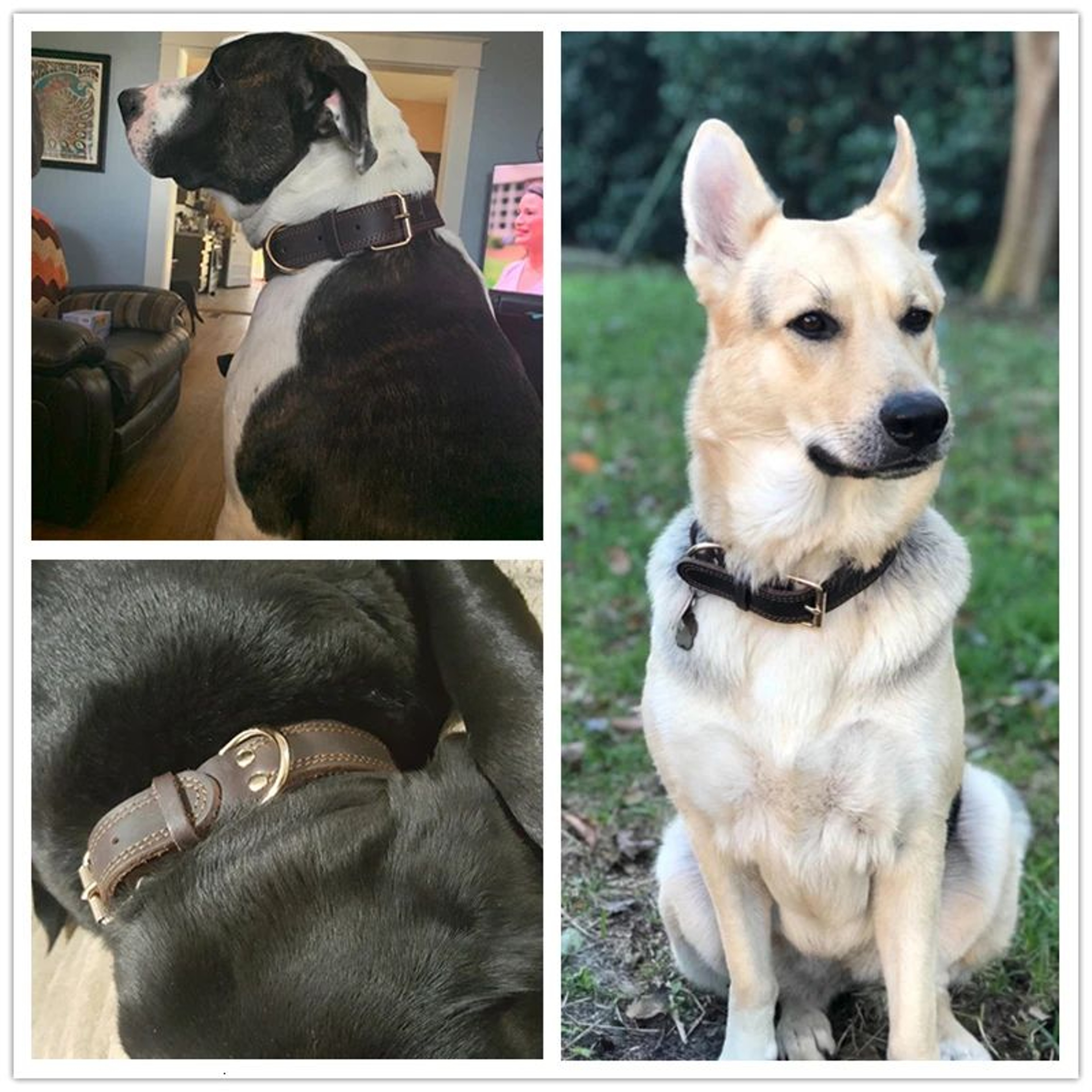 Benepaw Genuine Leather Dog Collar Heavy Duty Vintage Pet Collar 1