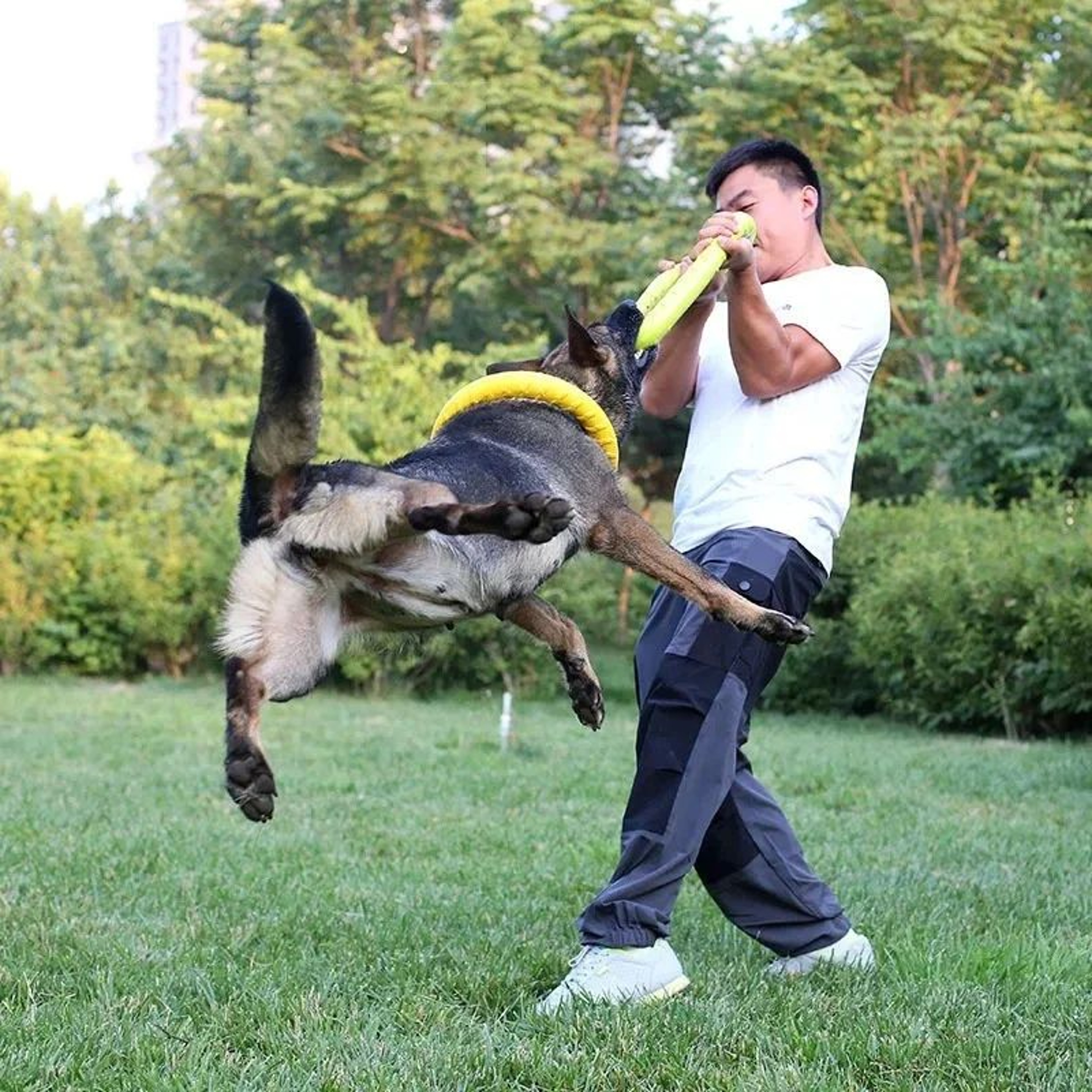 Floating EVA Dog Flying Disc Interactive Training Ring Toy For Small Medium And Large Dogs 2
