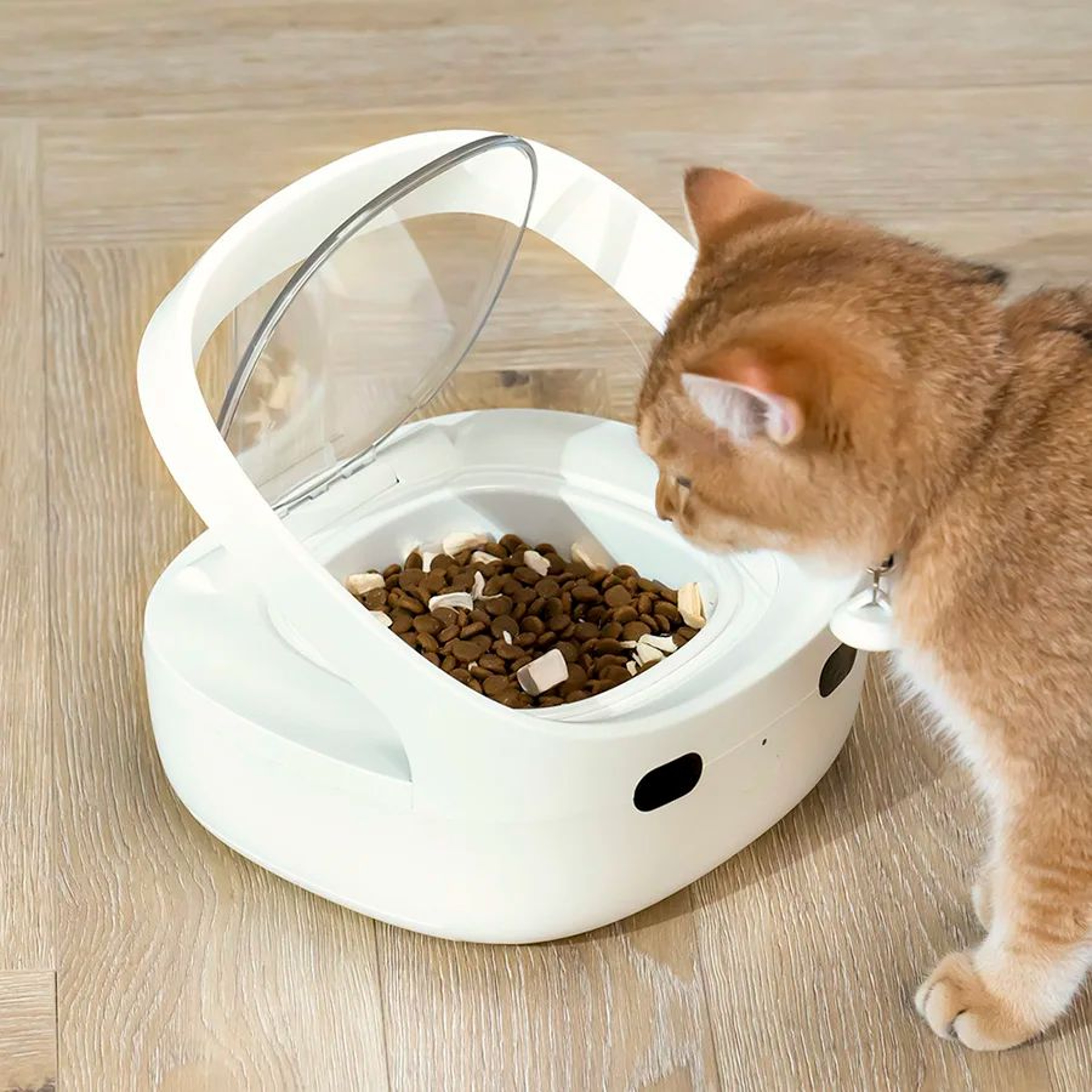 Petoneer NutriCare Smart Multi Pet Feeder 5