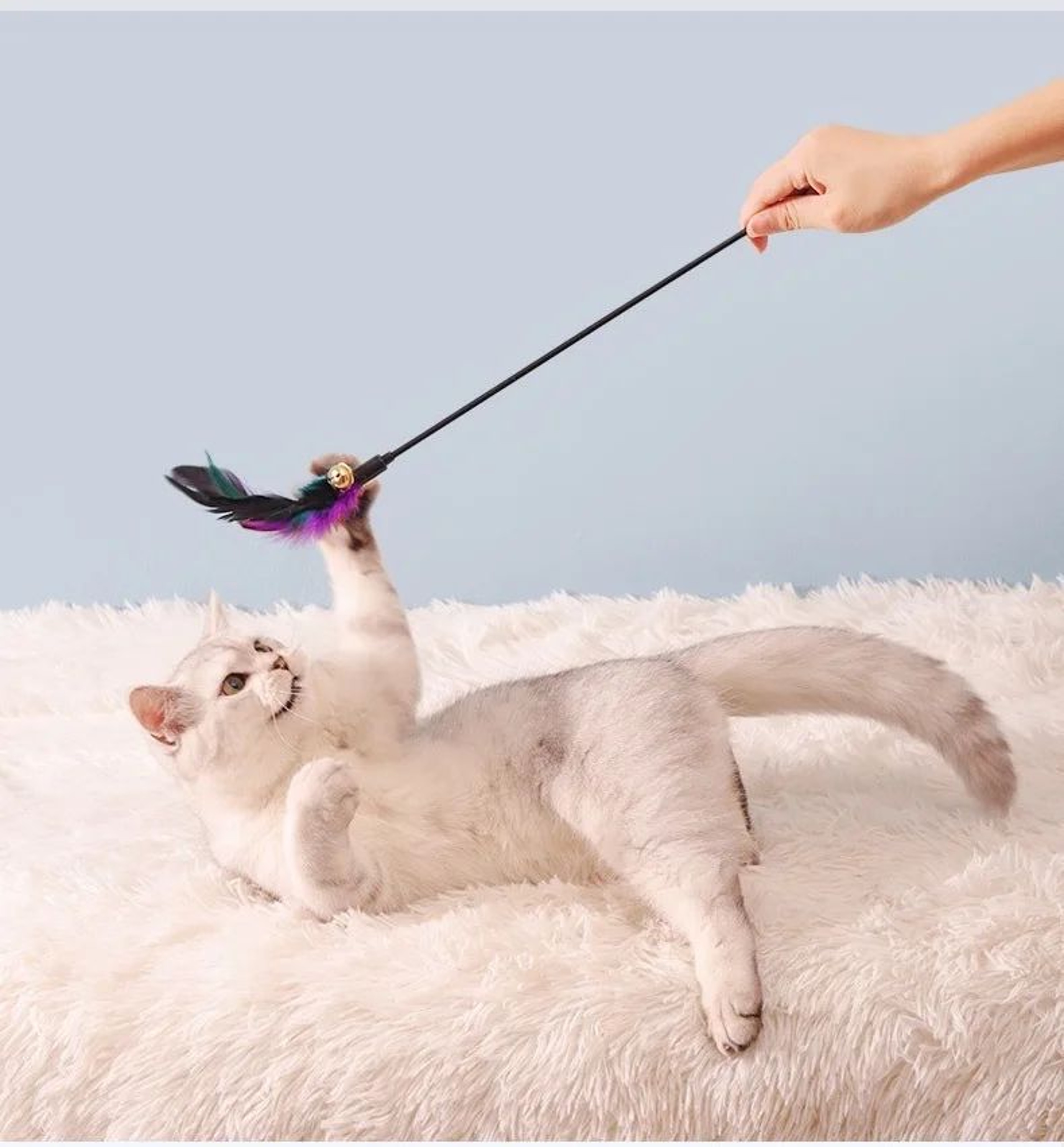 FeatherChase Interactive Cat Wand Toy Set 3