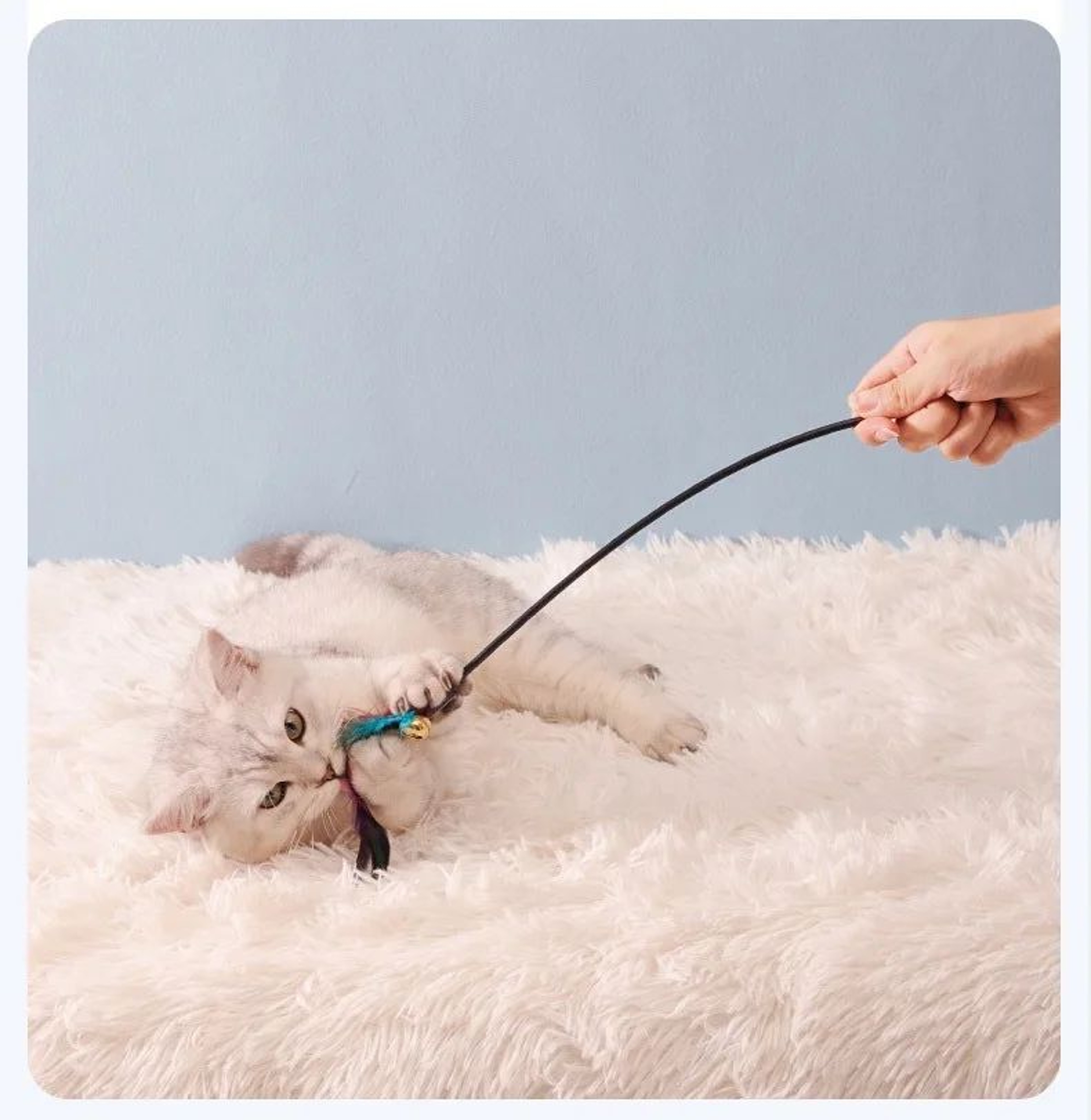 FeatherChase Interactive Cat Wand Toy Set 4
