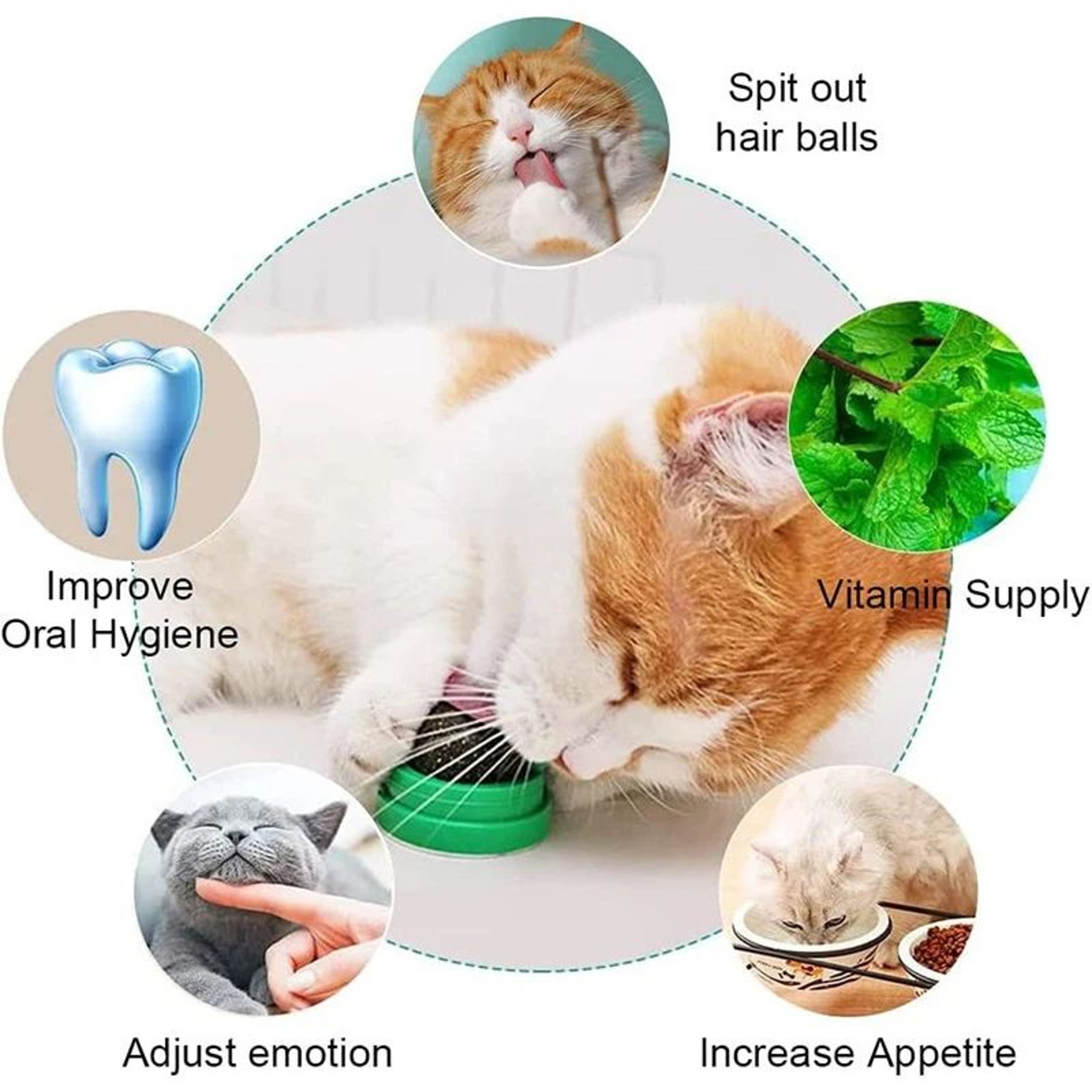 MintMunch Lickable Catnip Ball Treat Toy 2