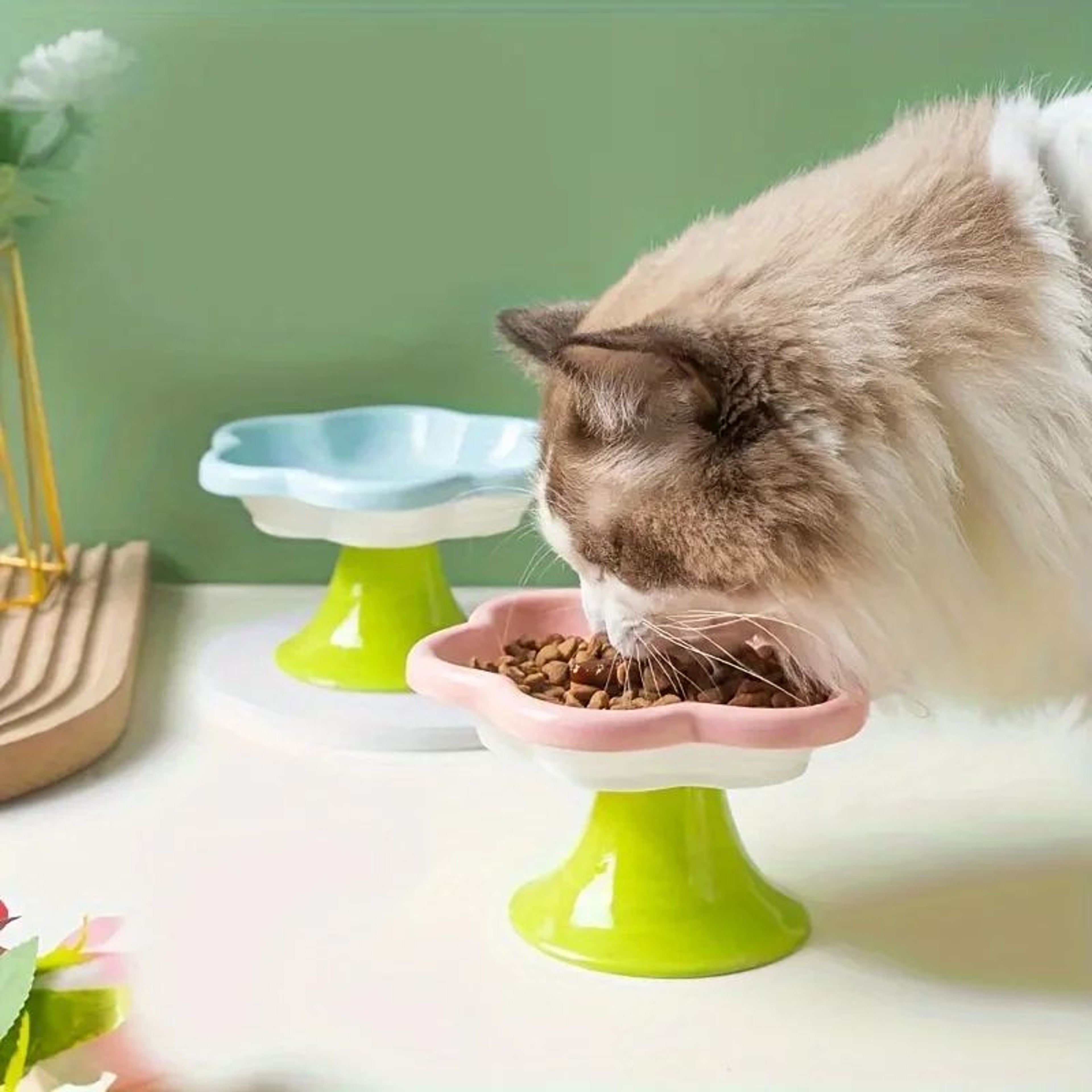 Ceramic Raised Cat Bowl With Elevated Flower Stand 5