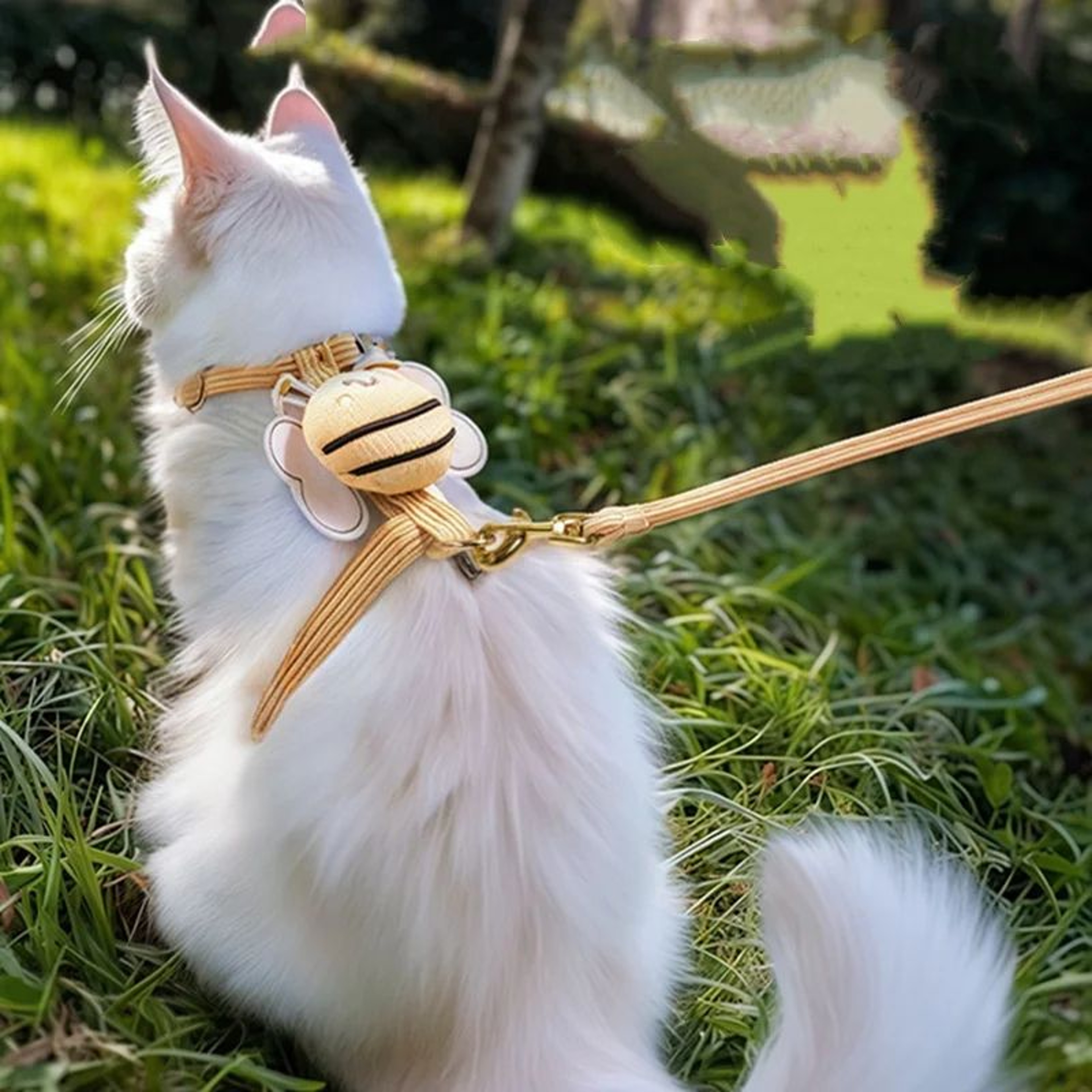 Comfort Fit Cat Harness And Leash Set For Small Pets 4