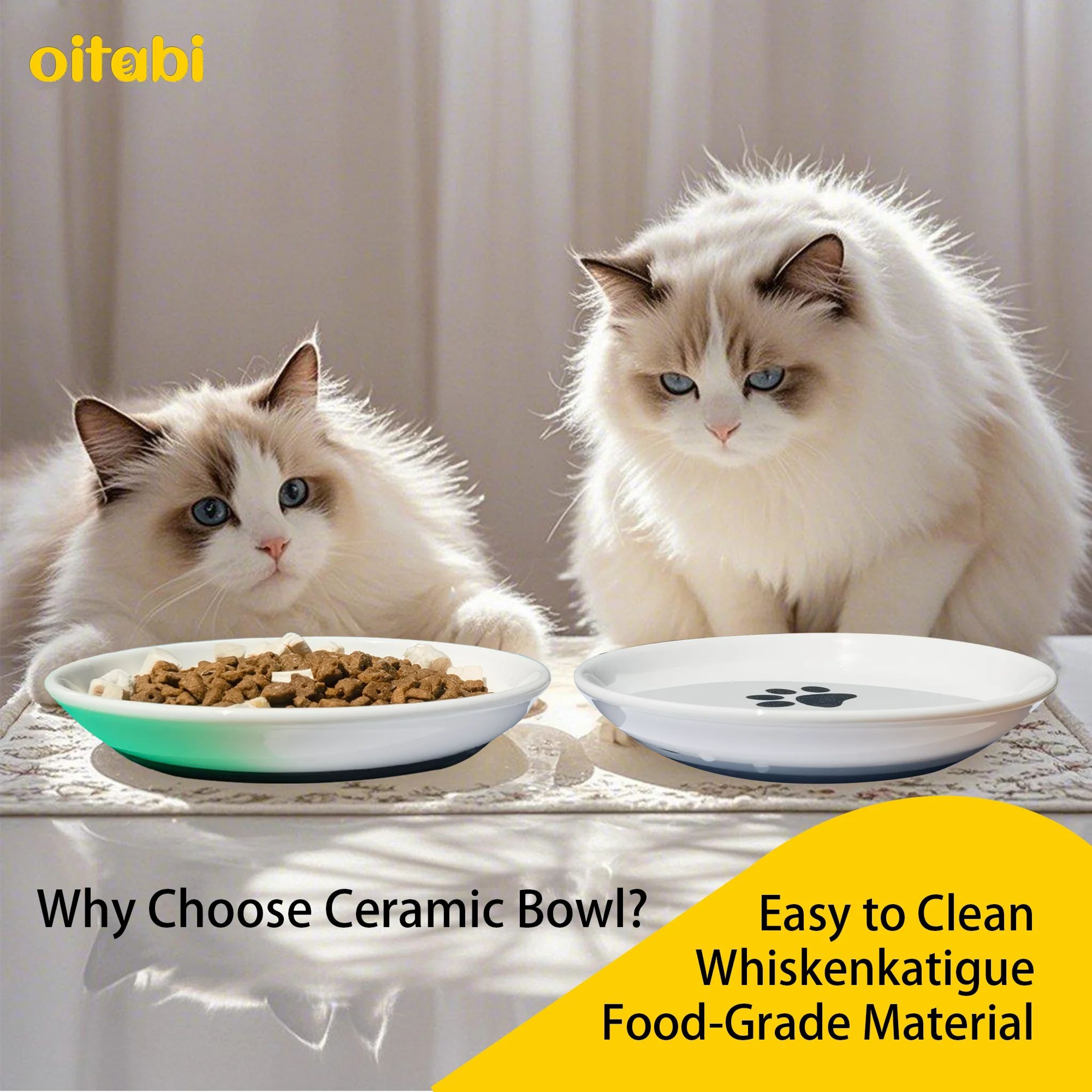 WhiskerEase Ceramic Cat Bowl Set 0