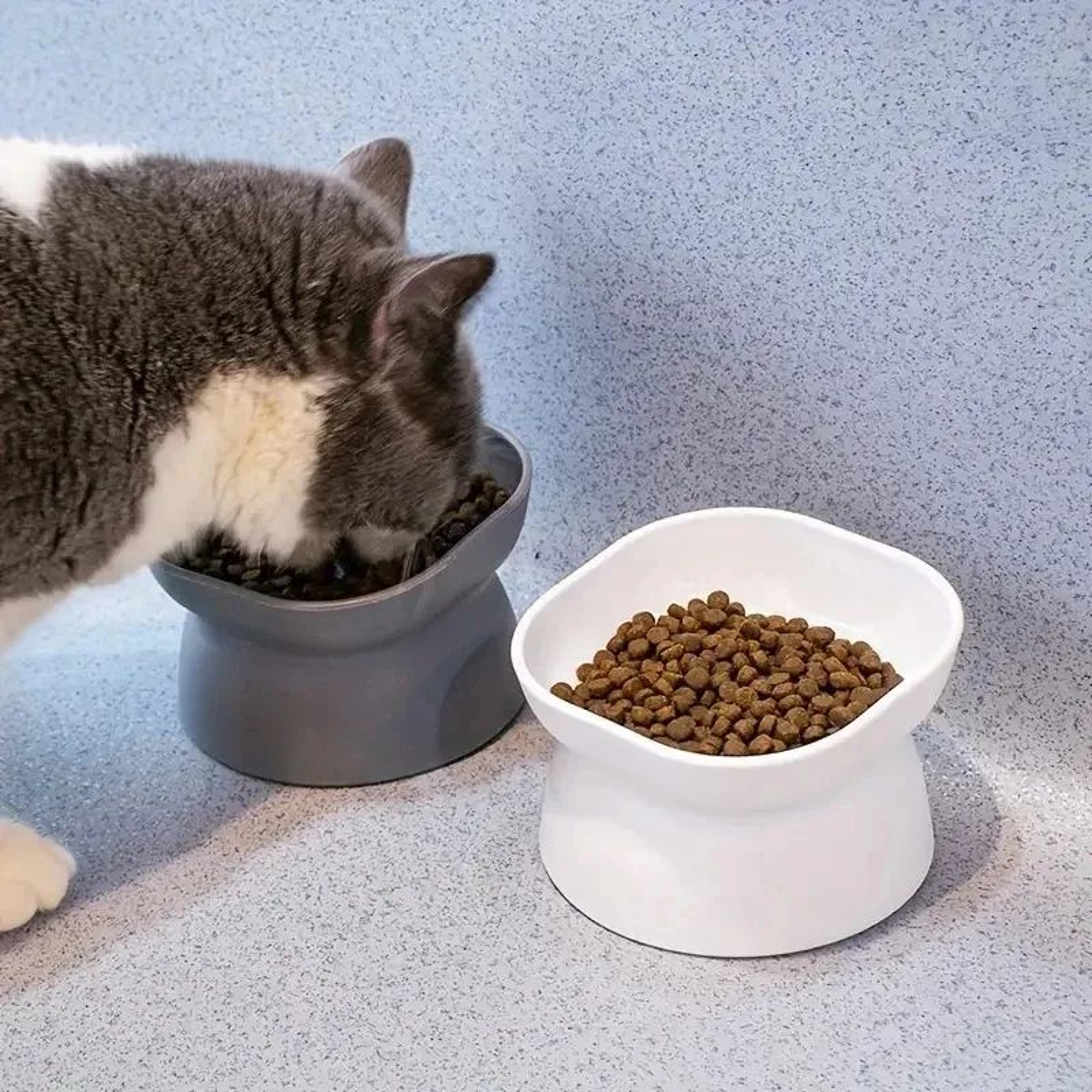 NeckEase Elevated Cat Feeding Bowl 5