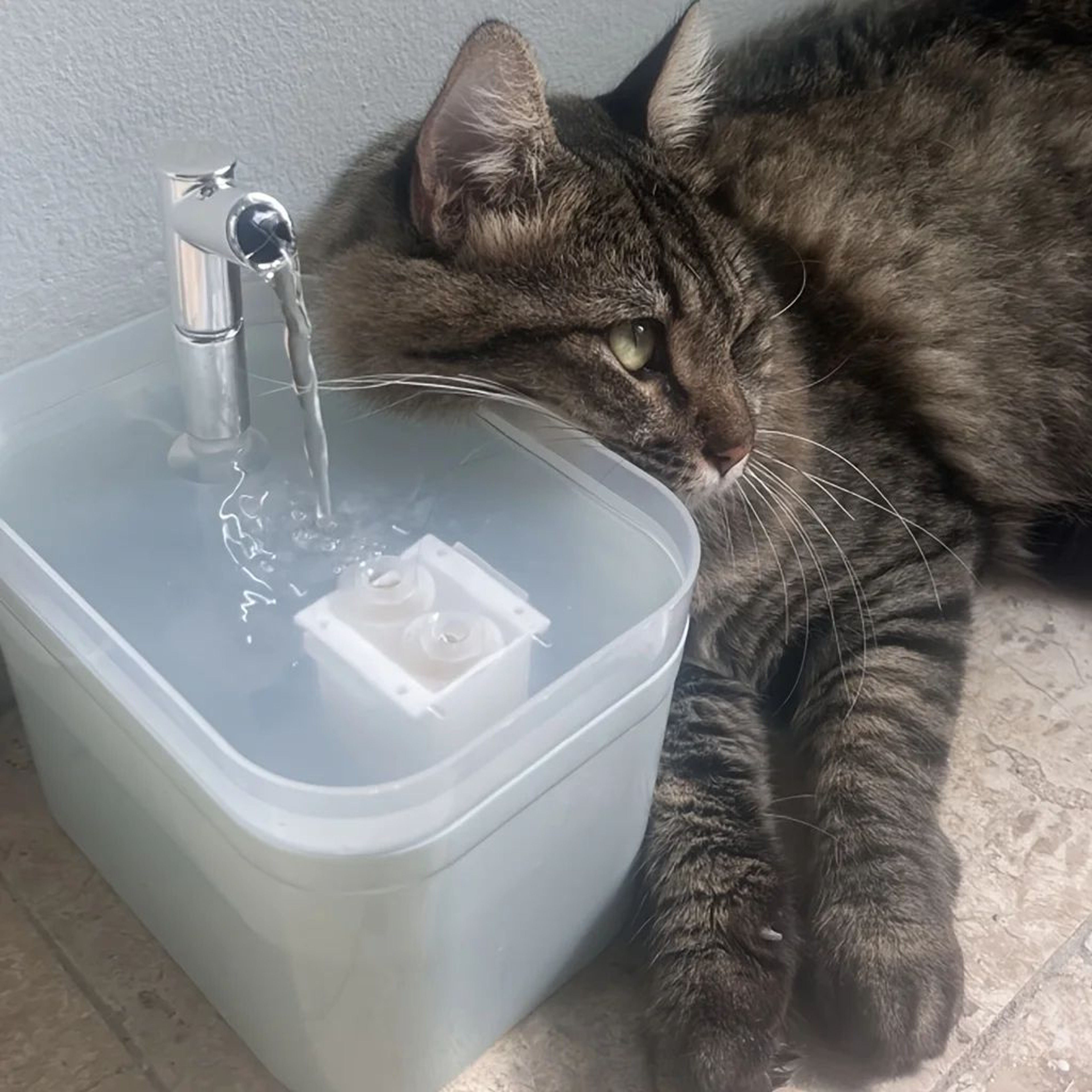 Automatic Pet Water Fountain With Circulating Flow And 15L Capacity 4