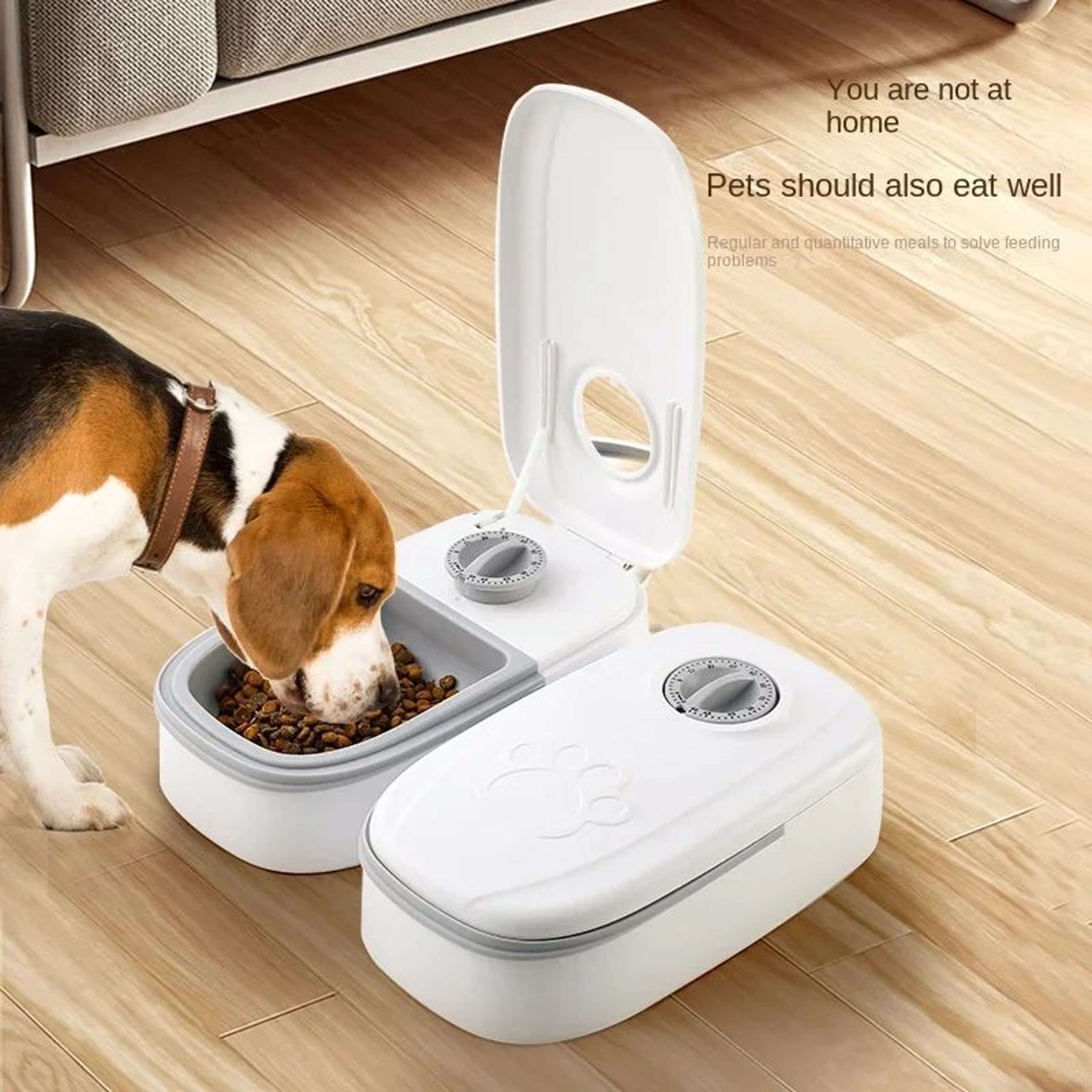 SmartFeed Pet Food Dispenser 0