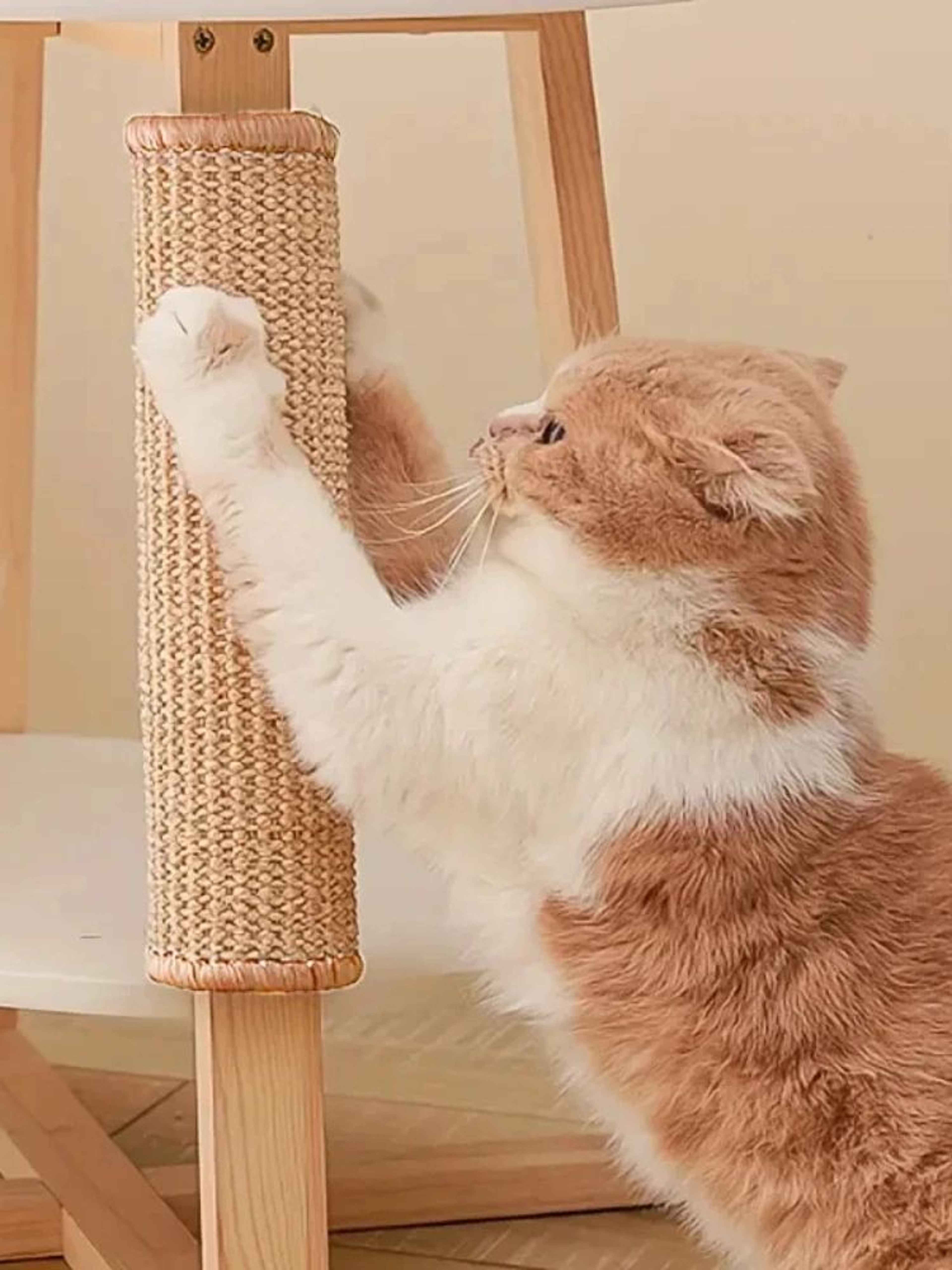 Natural Sisal Cat Scratch Mat 1