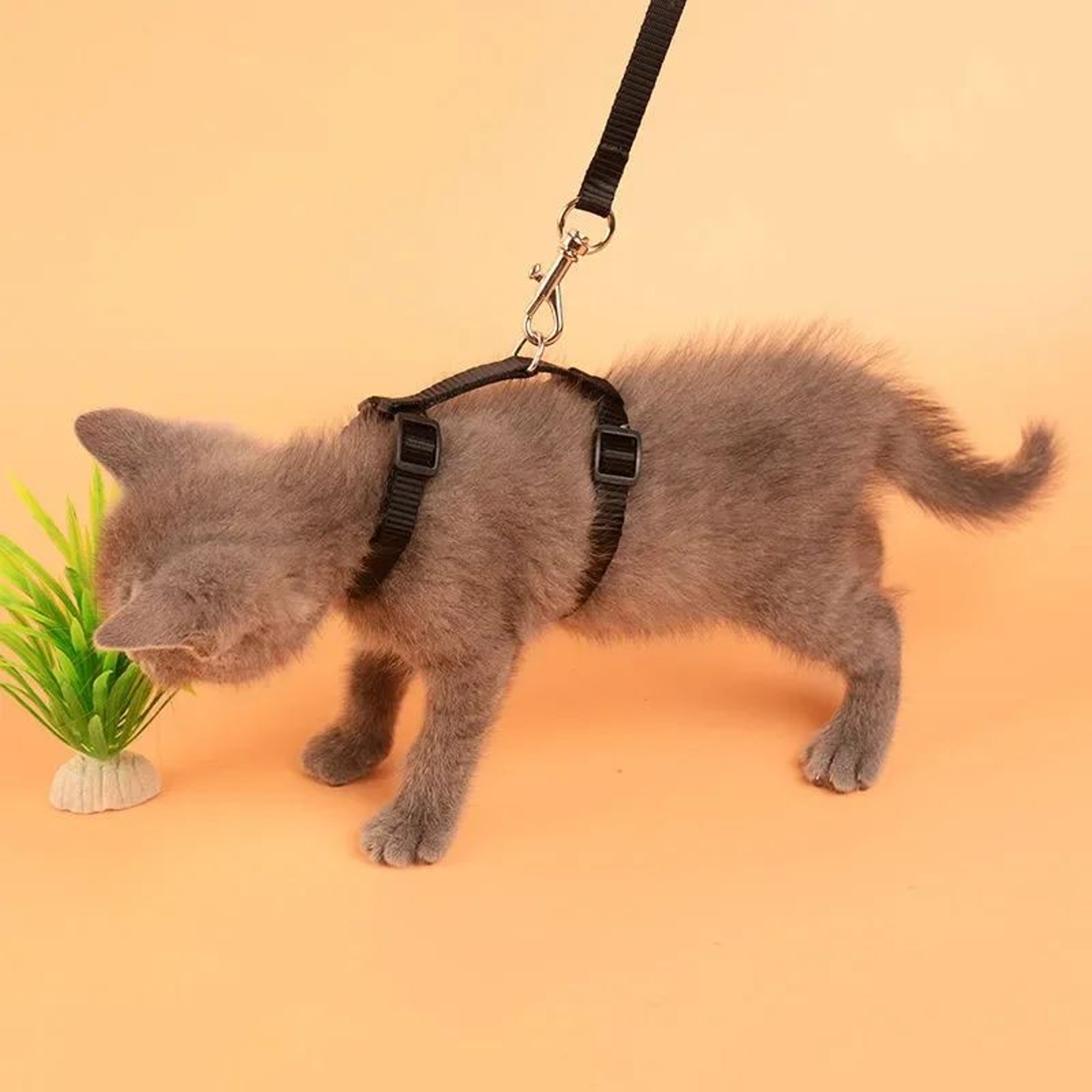 SafetyFit Escape Proof Pet Harness And Leash Set For Cats And Small Dogs 2