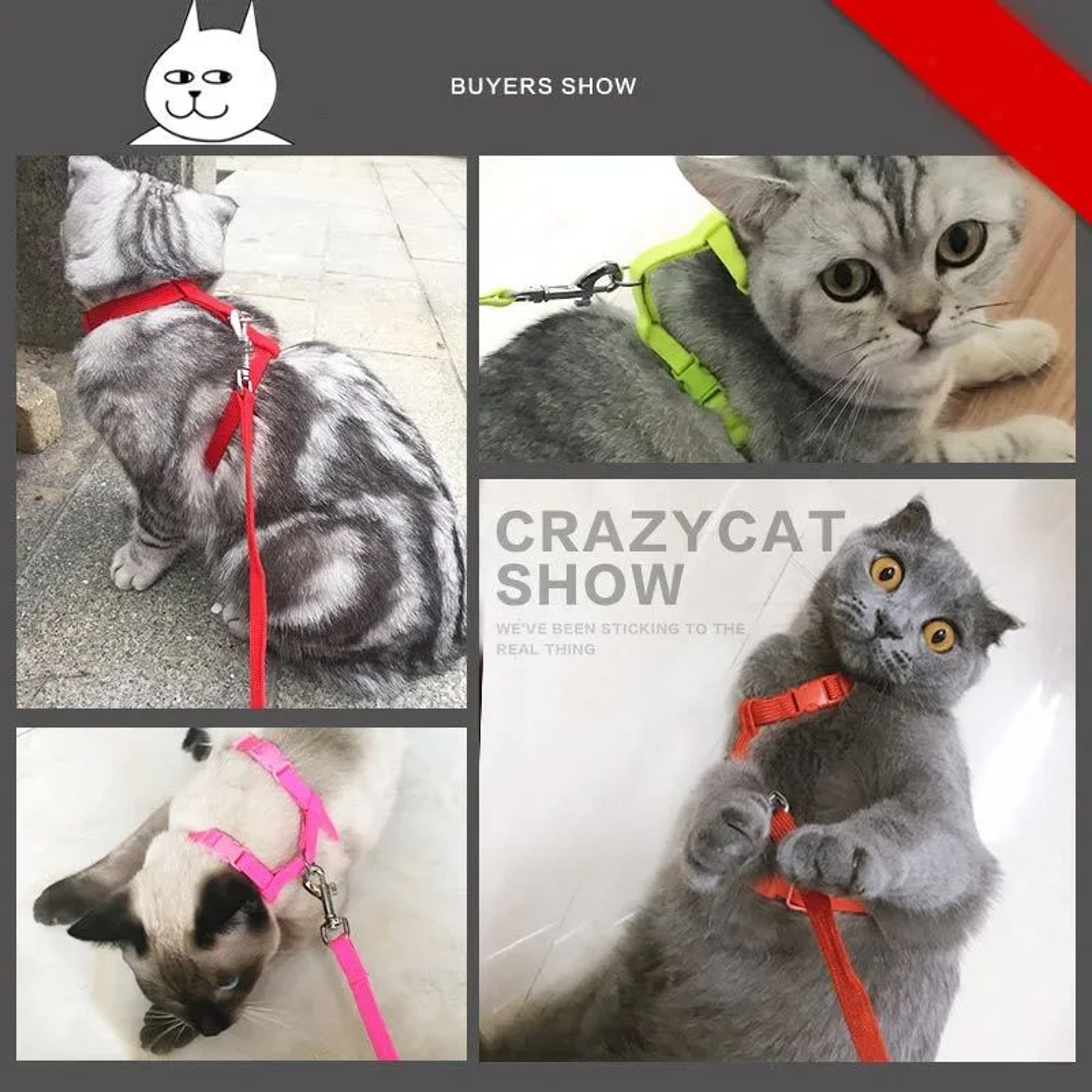SafetyFit Escape Proof Pet Harness And Leash Set For Cats And Small Dogs 3