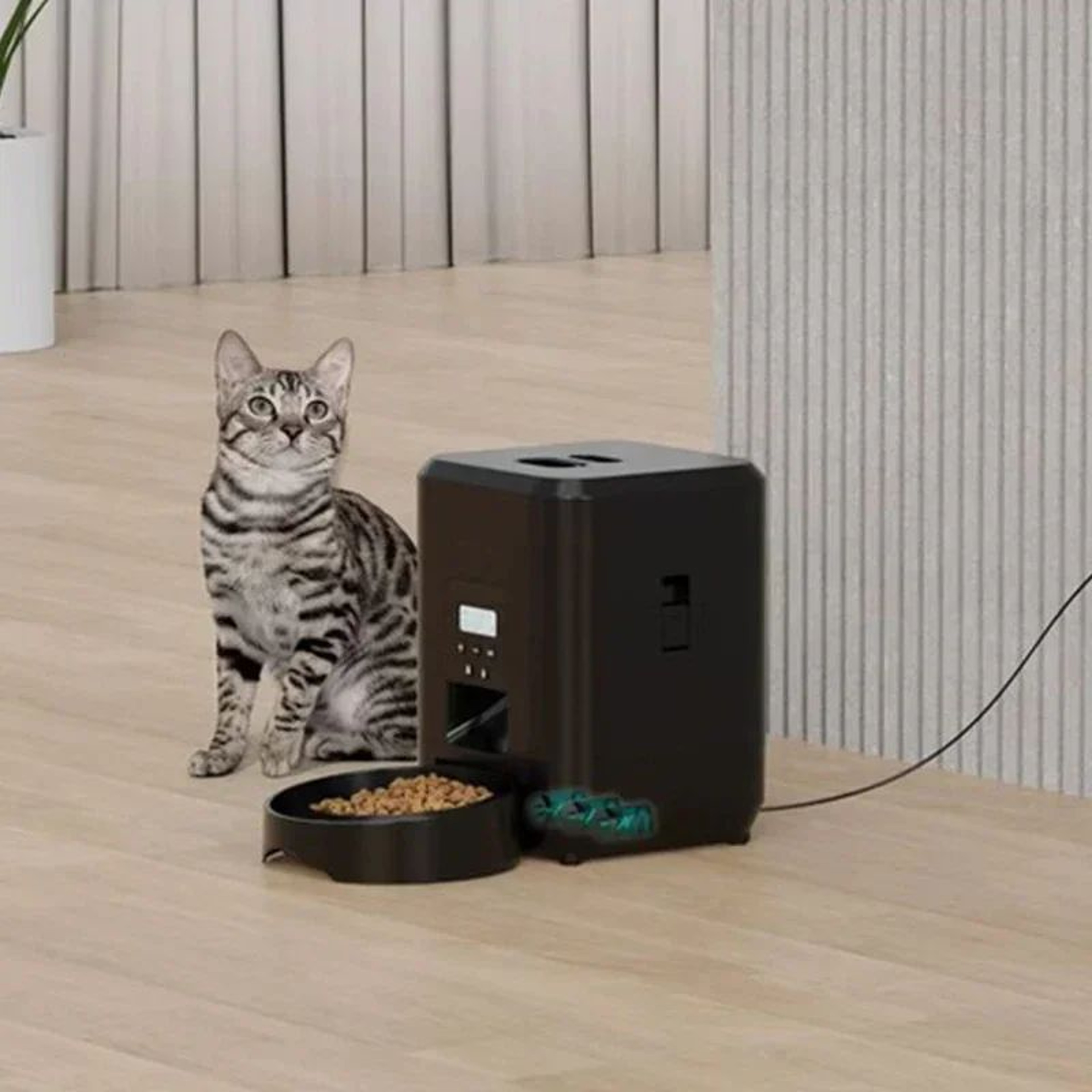 SmartServe Automatic Pet Feeder With Timer And Portion Control 3
