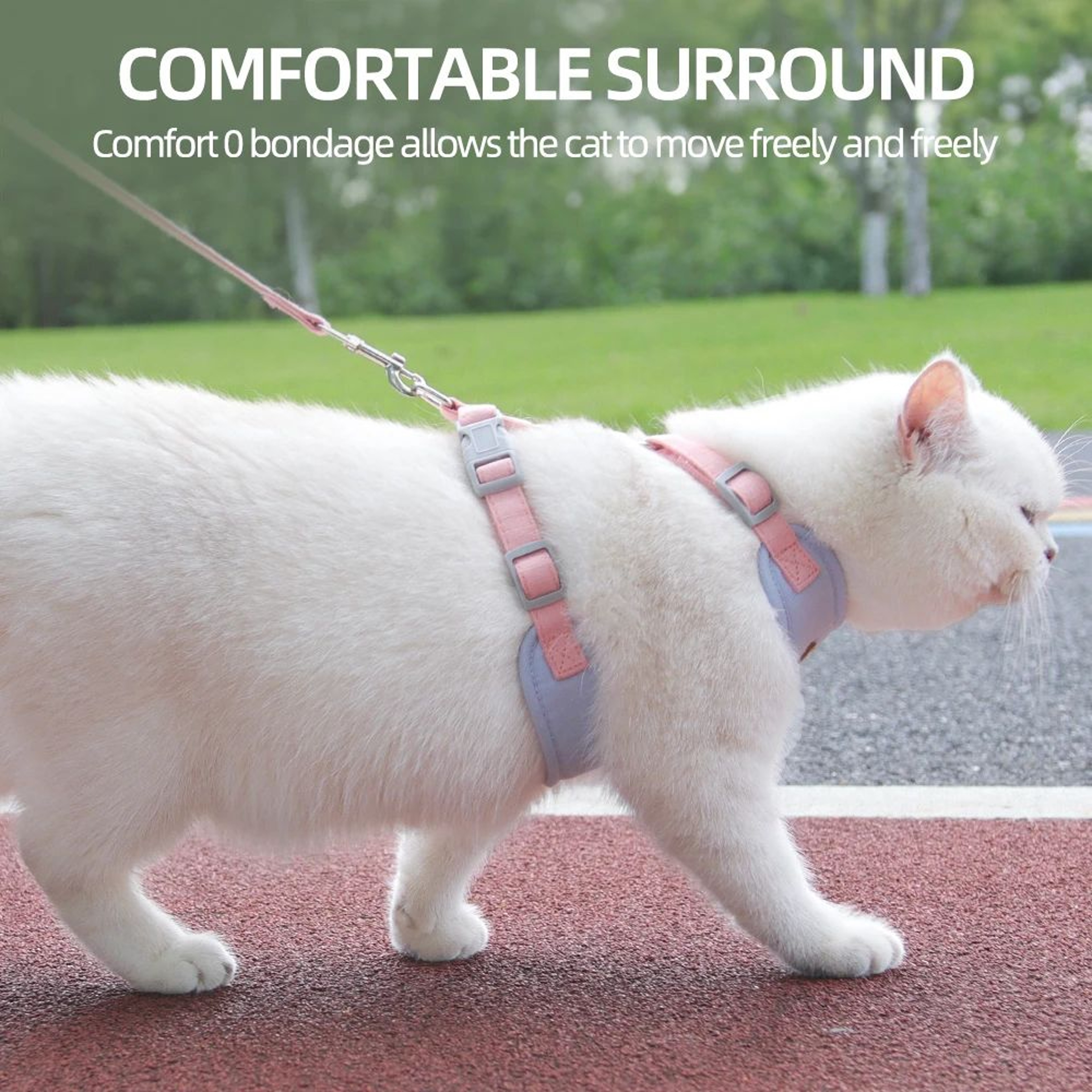 AdventureFit Breathable Cat Harness And Leash Set For Safe Outdoor Walks 3