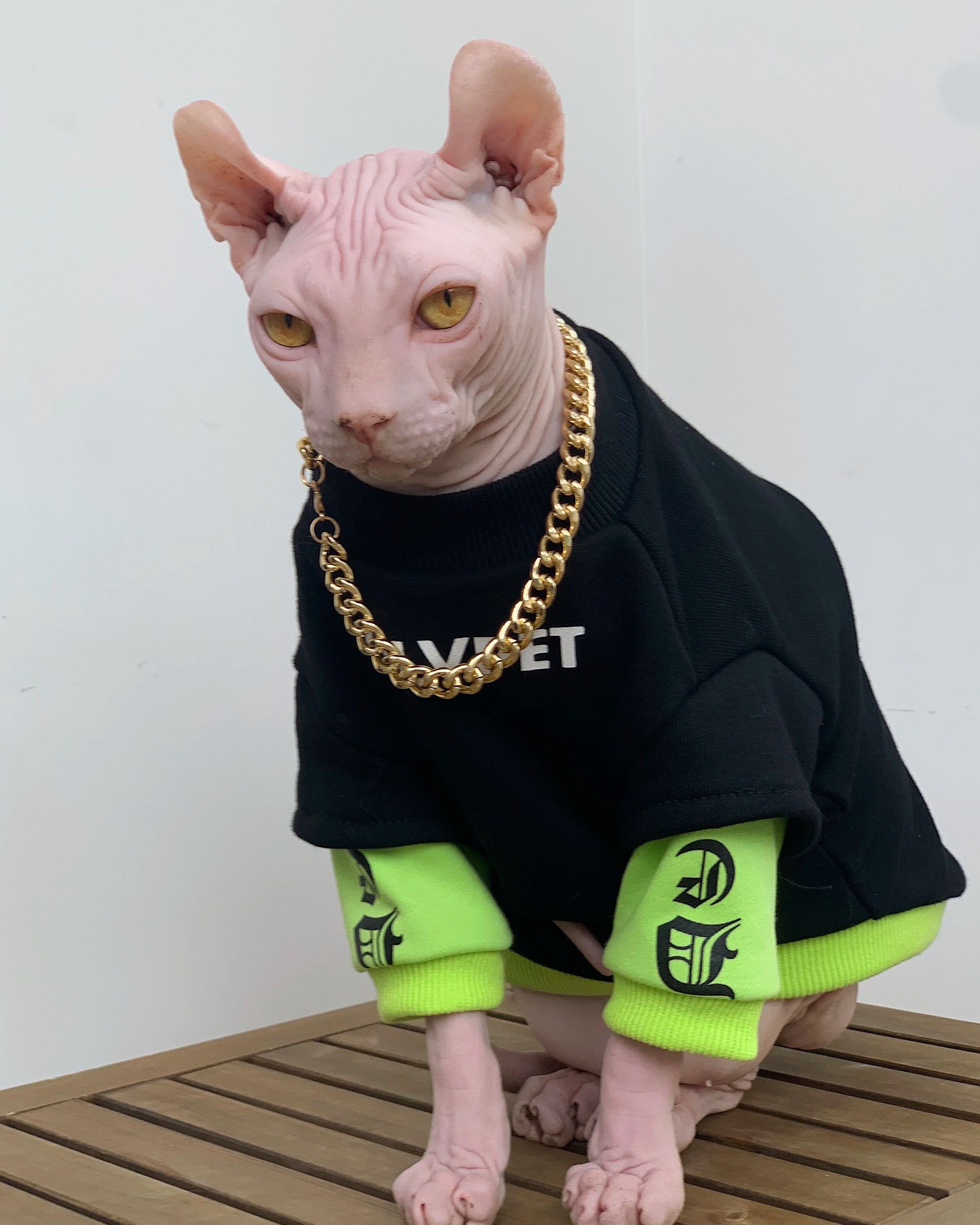 CozyFit Cotton Sweatshirt For Sphynx Cats And Devon Rex 0