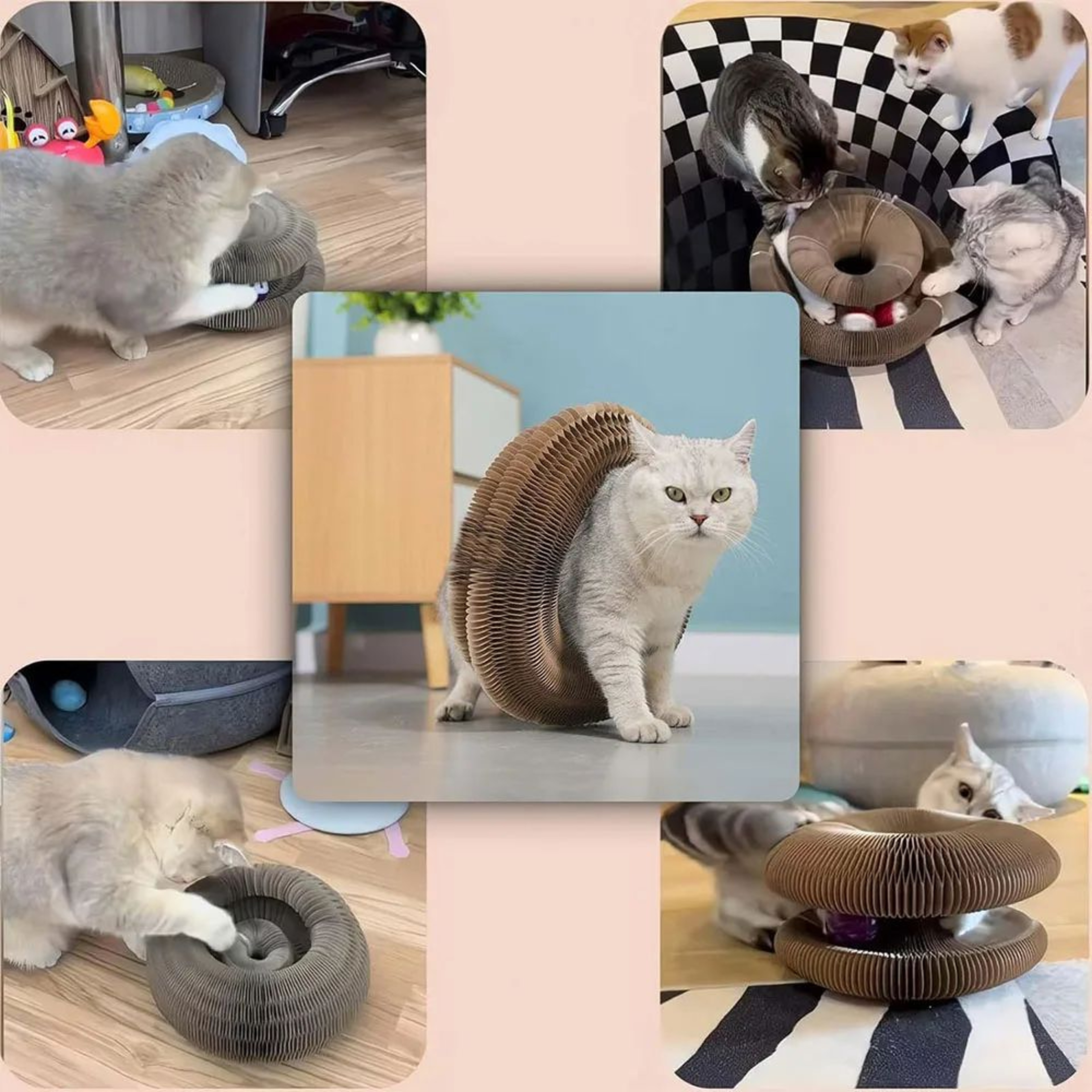 MagicFold Accordion Cat Scratching Board Interactive Cat Scratcher Toy 3