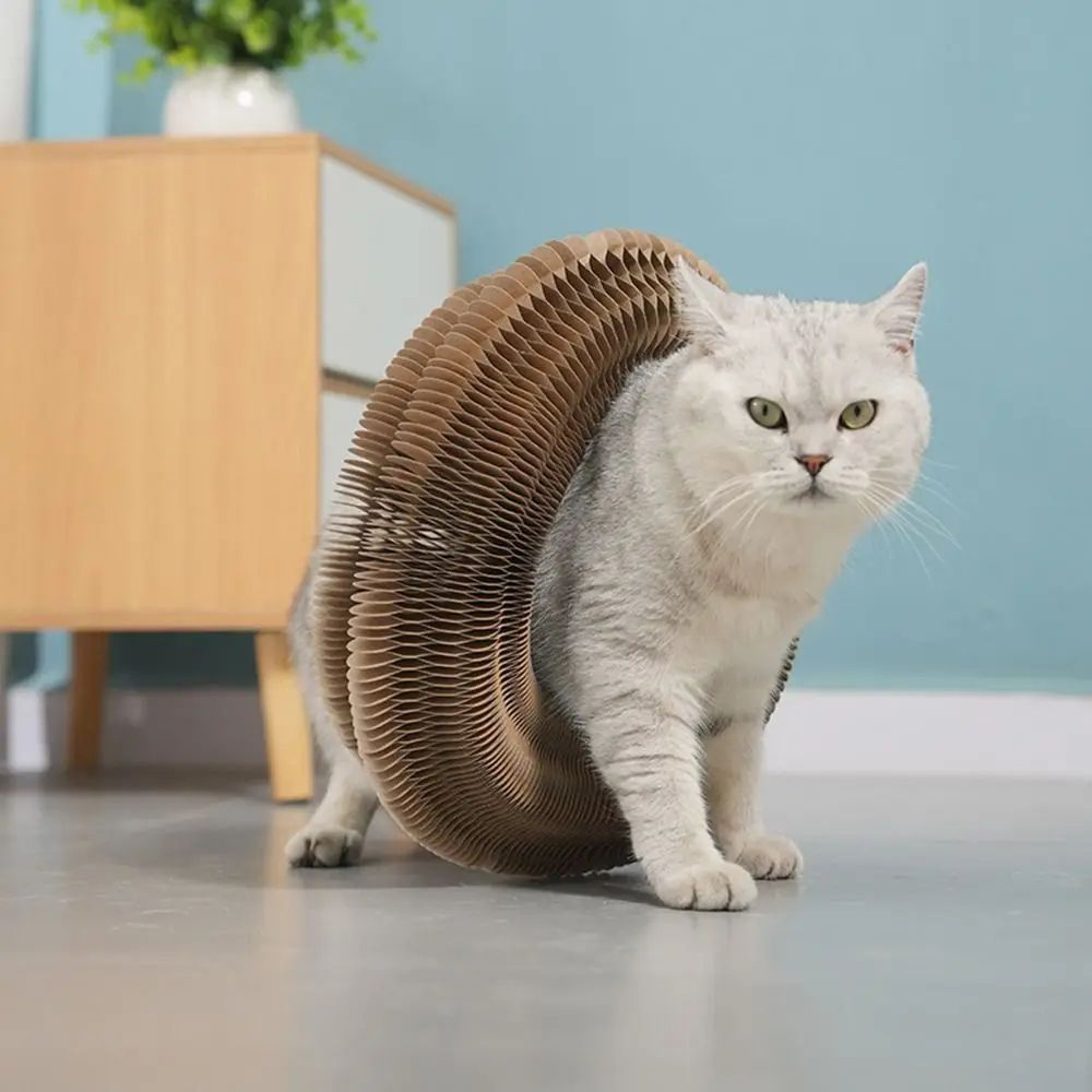 MagicCircle Cat Scratching Board With Ball Track Interactive Cat Toy 5