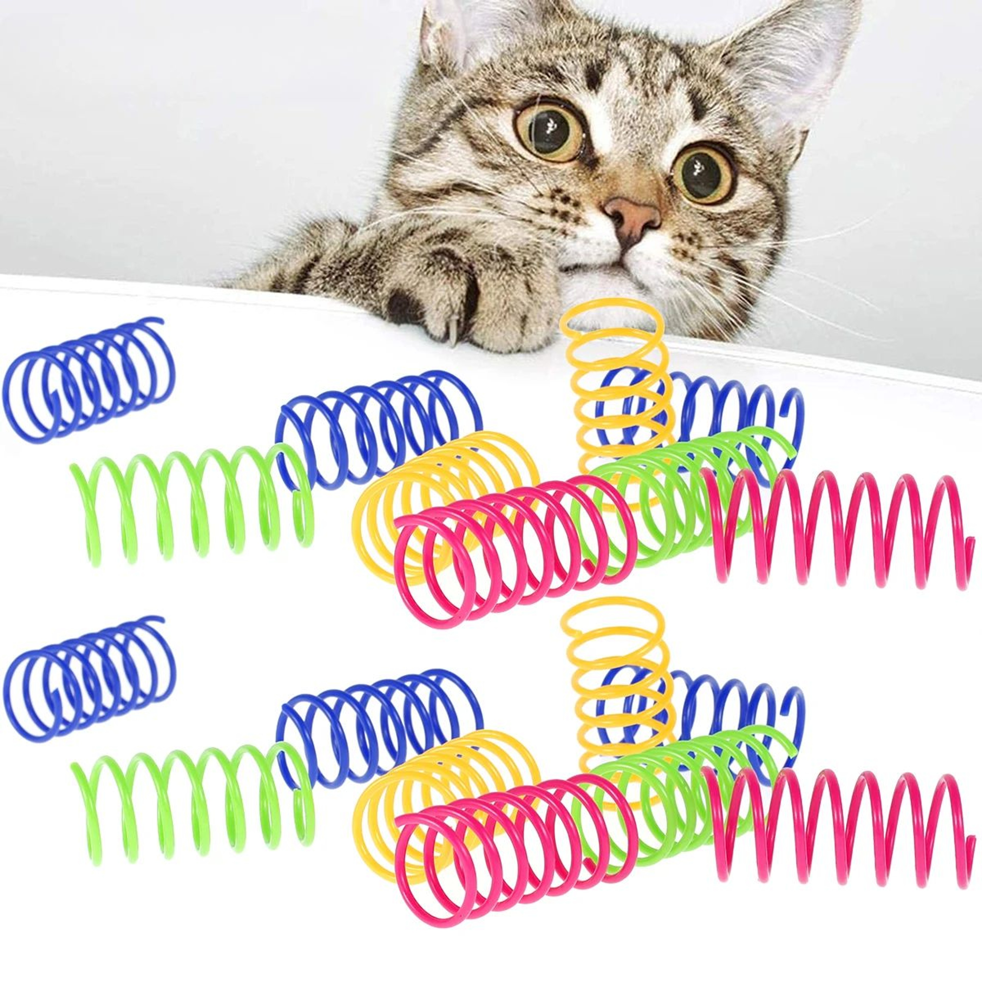 Colorful Cat Spring Toy Set 0