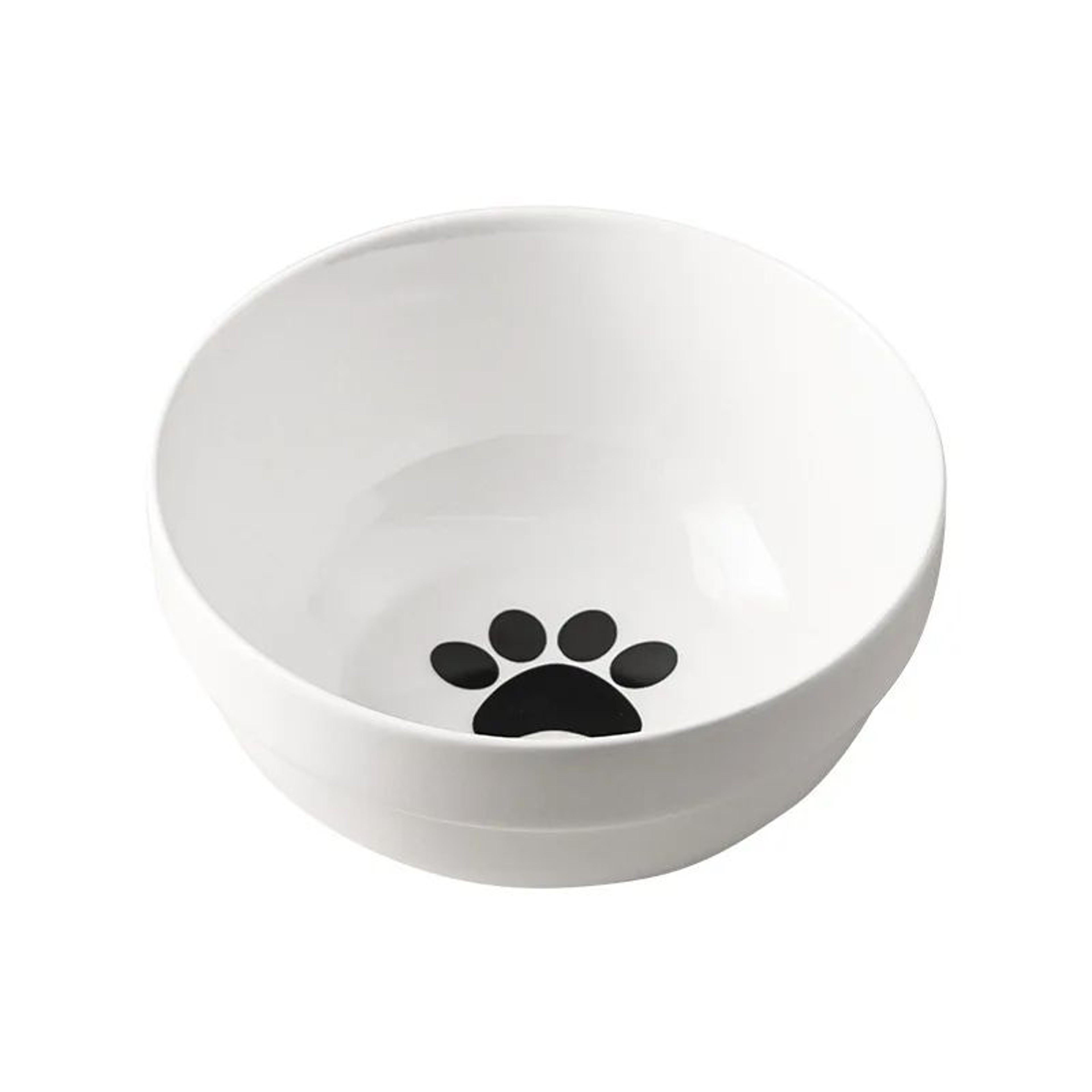 Elevated Ceramic Double Pet Bowl 9