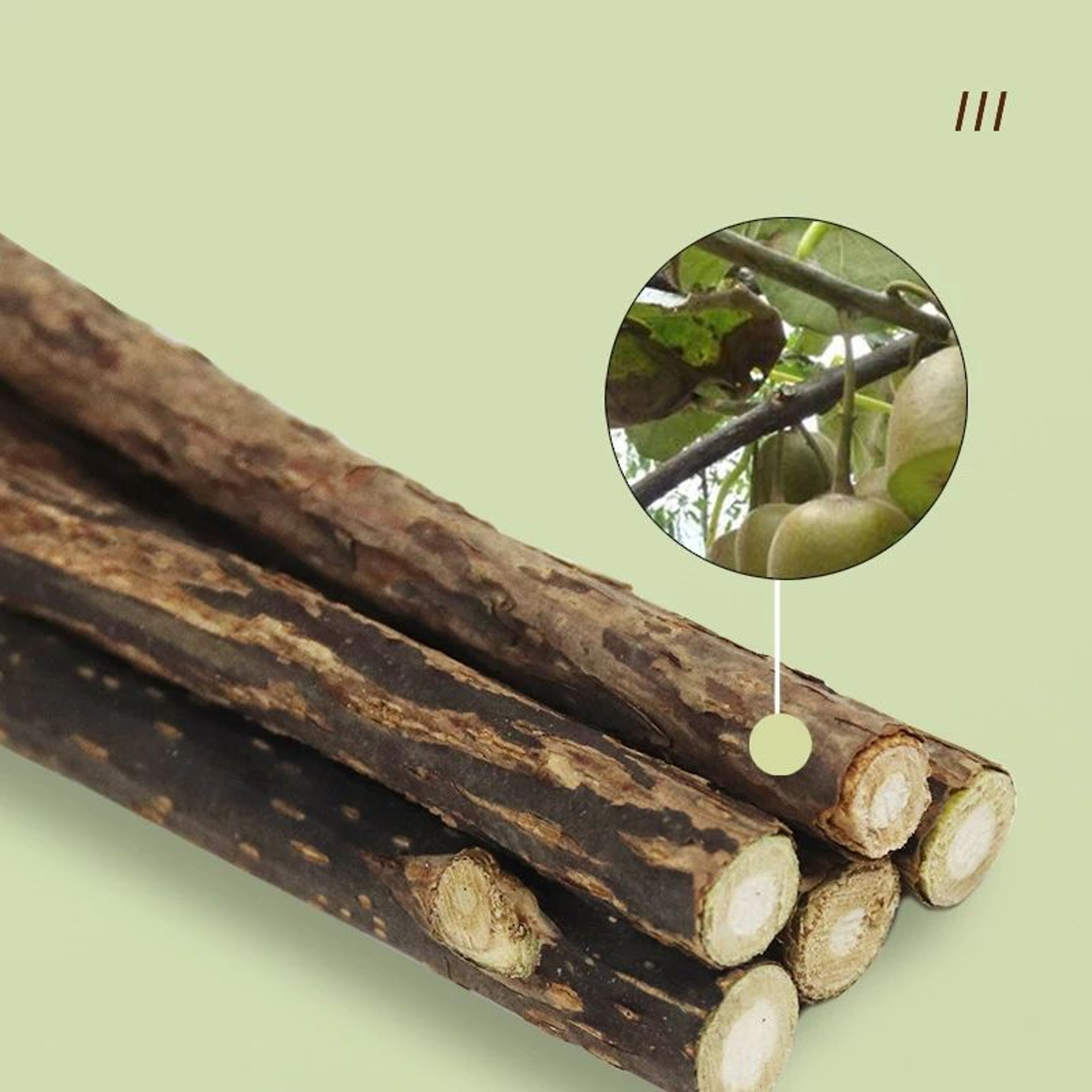 NatureChew Cat Stick 2