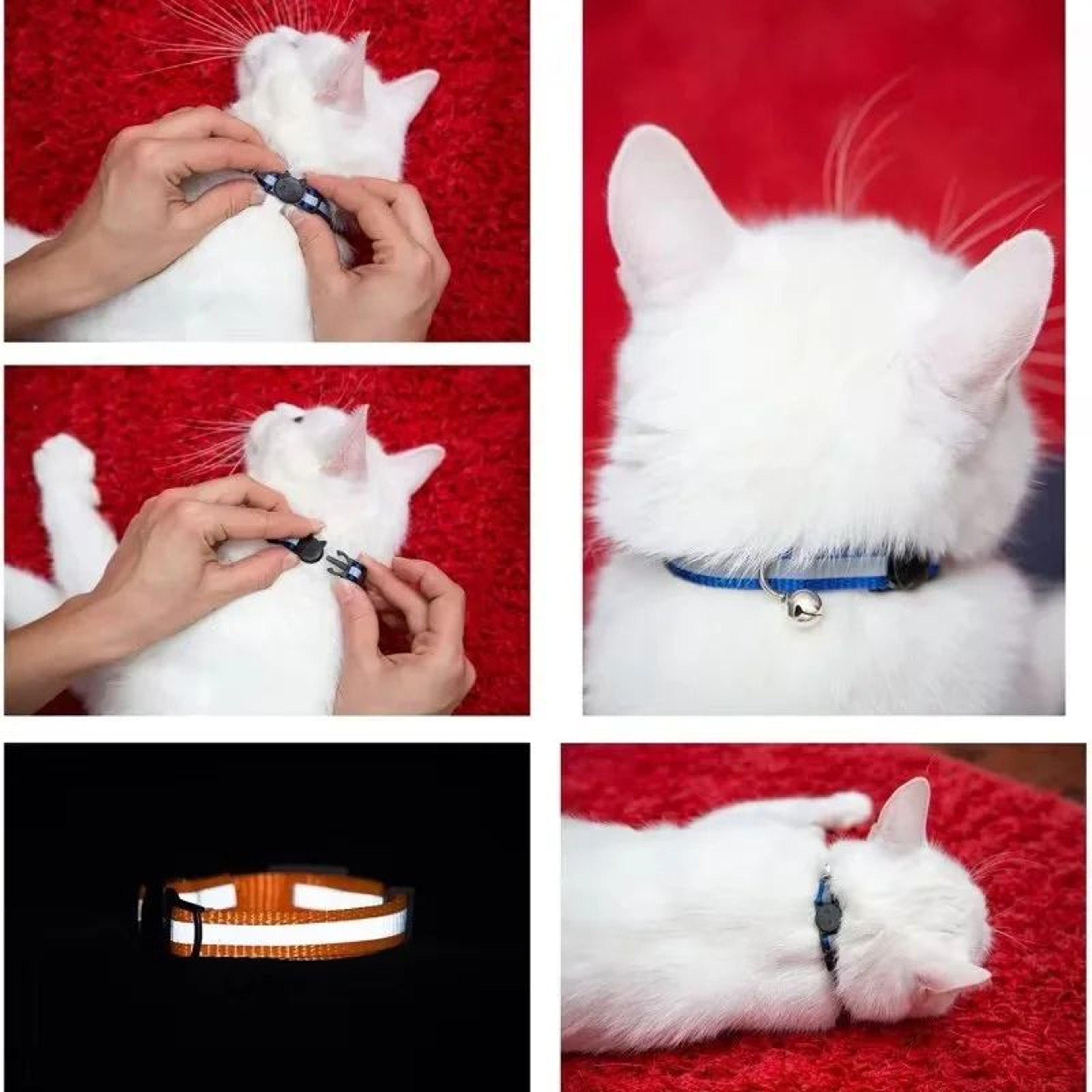 SafeGlow Cat Collar 4