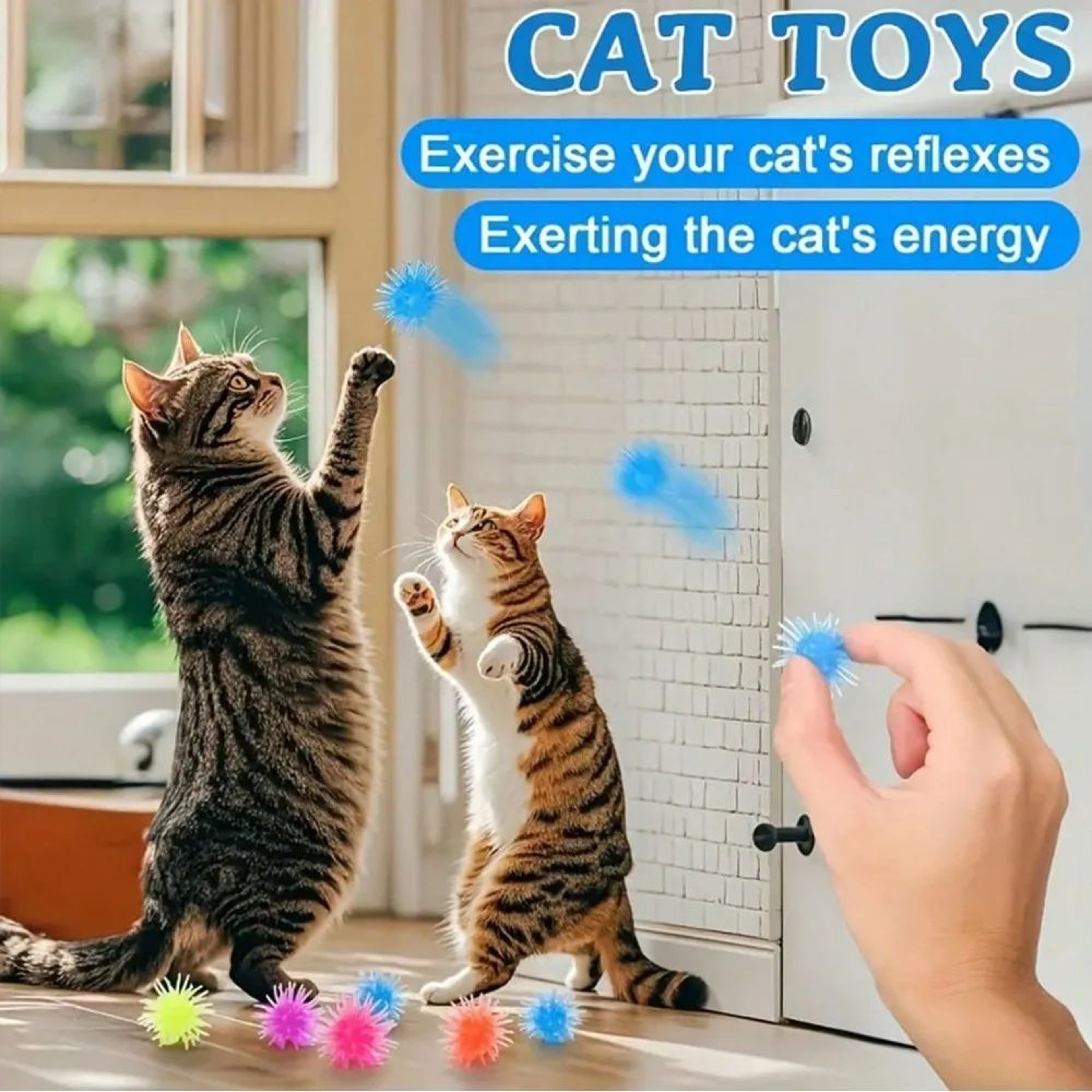 BounceBlast Cat Balls 2