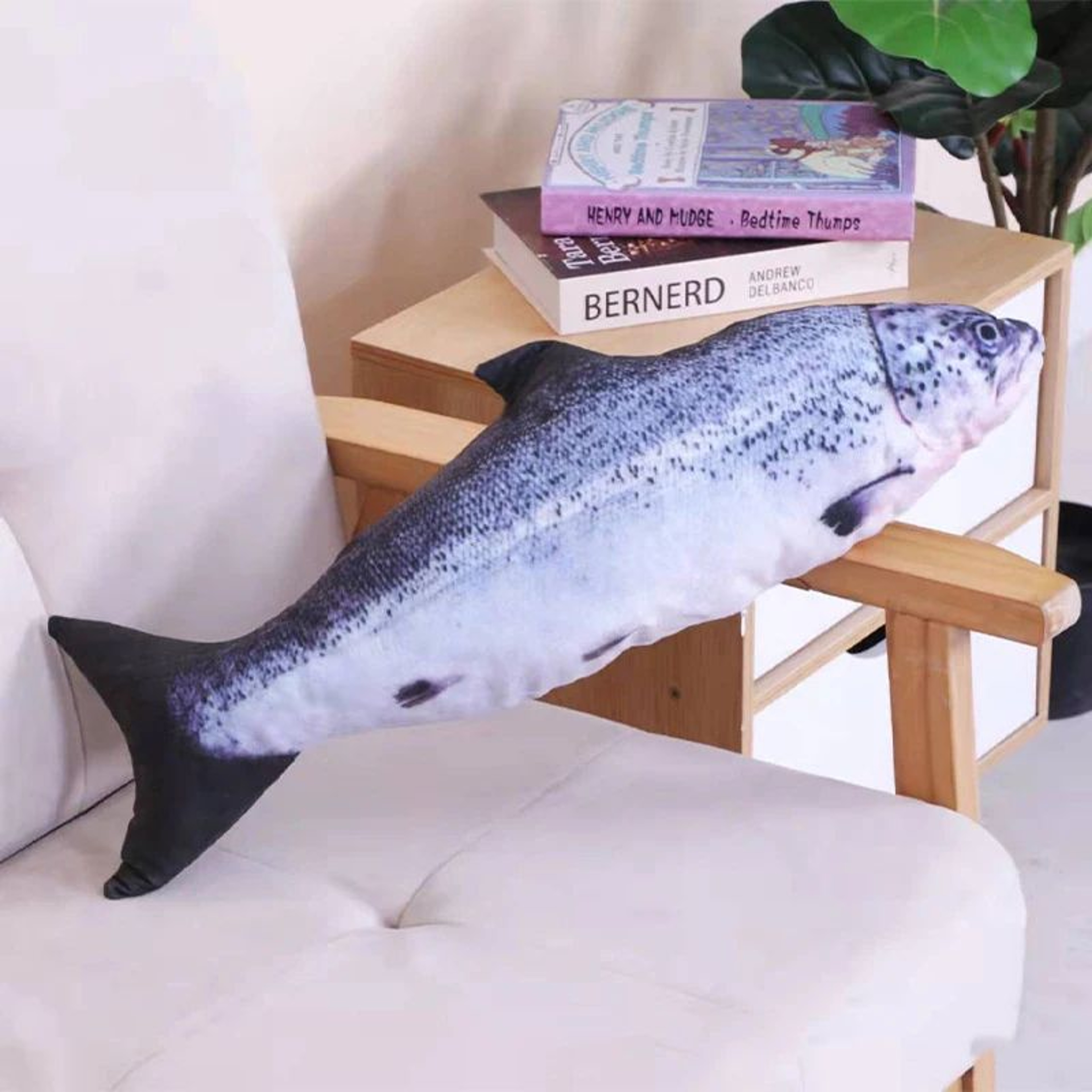 Realistic Catnip Fish Plush Toy For Cats 16