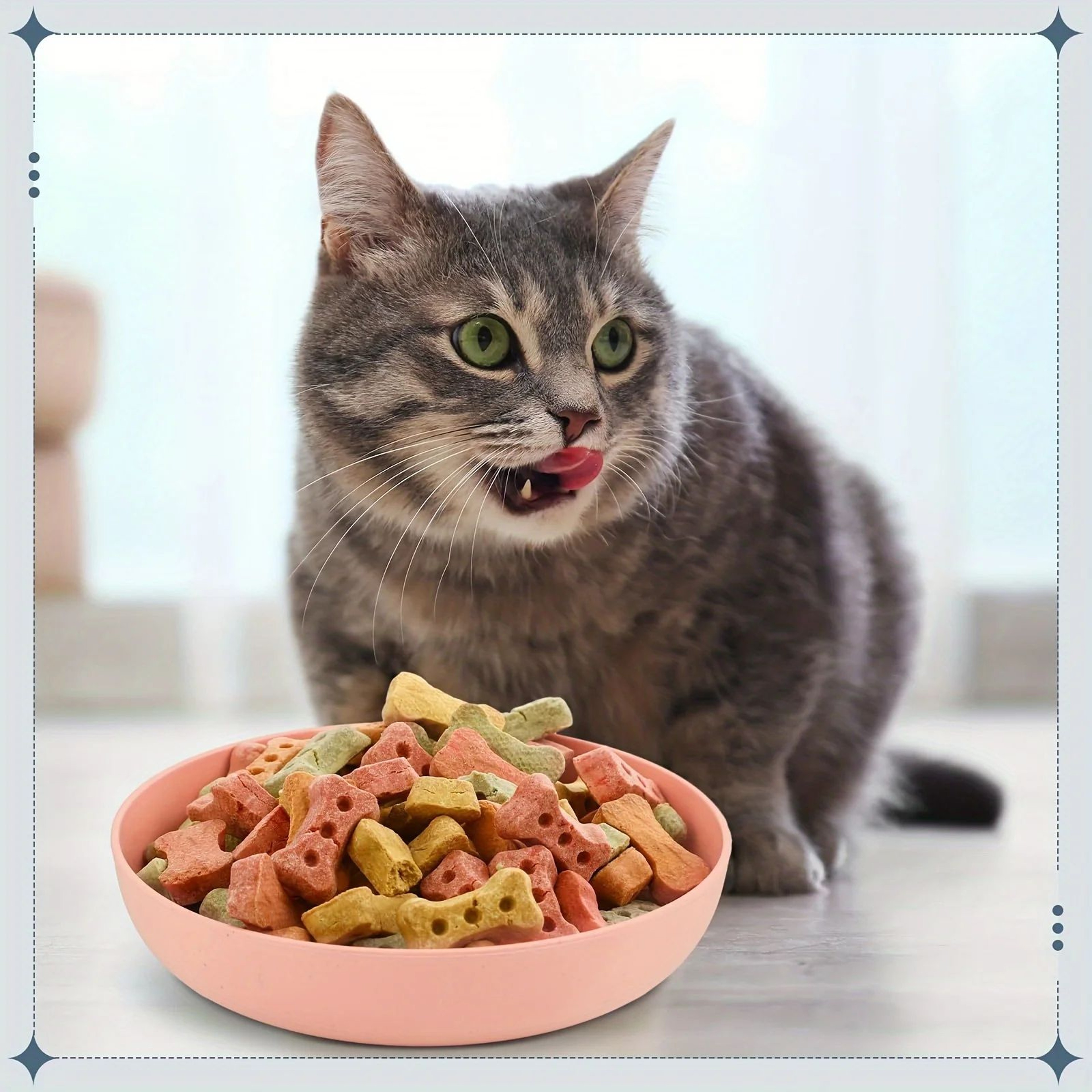 WhiskerEase Shallow Cat Bowls Set Of 4 Non Slip Feeding Dishes 5