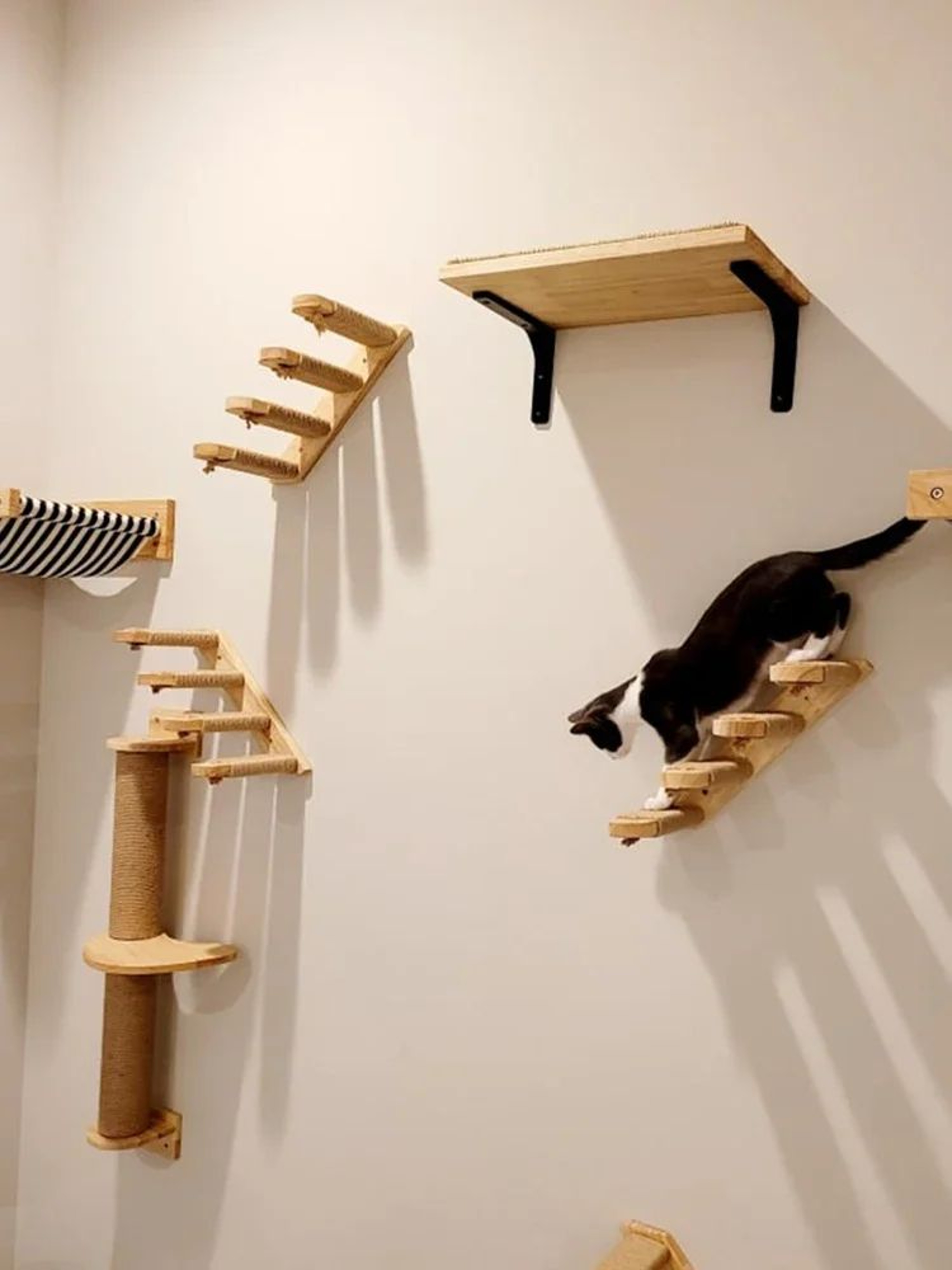 ClimbScape Wall Mounted Cat Climbing Shelf And Scratching Steps 2
