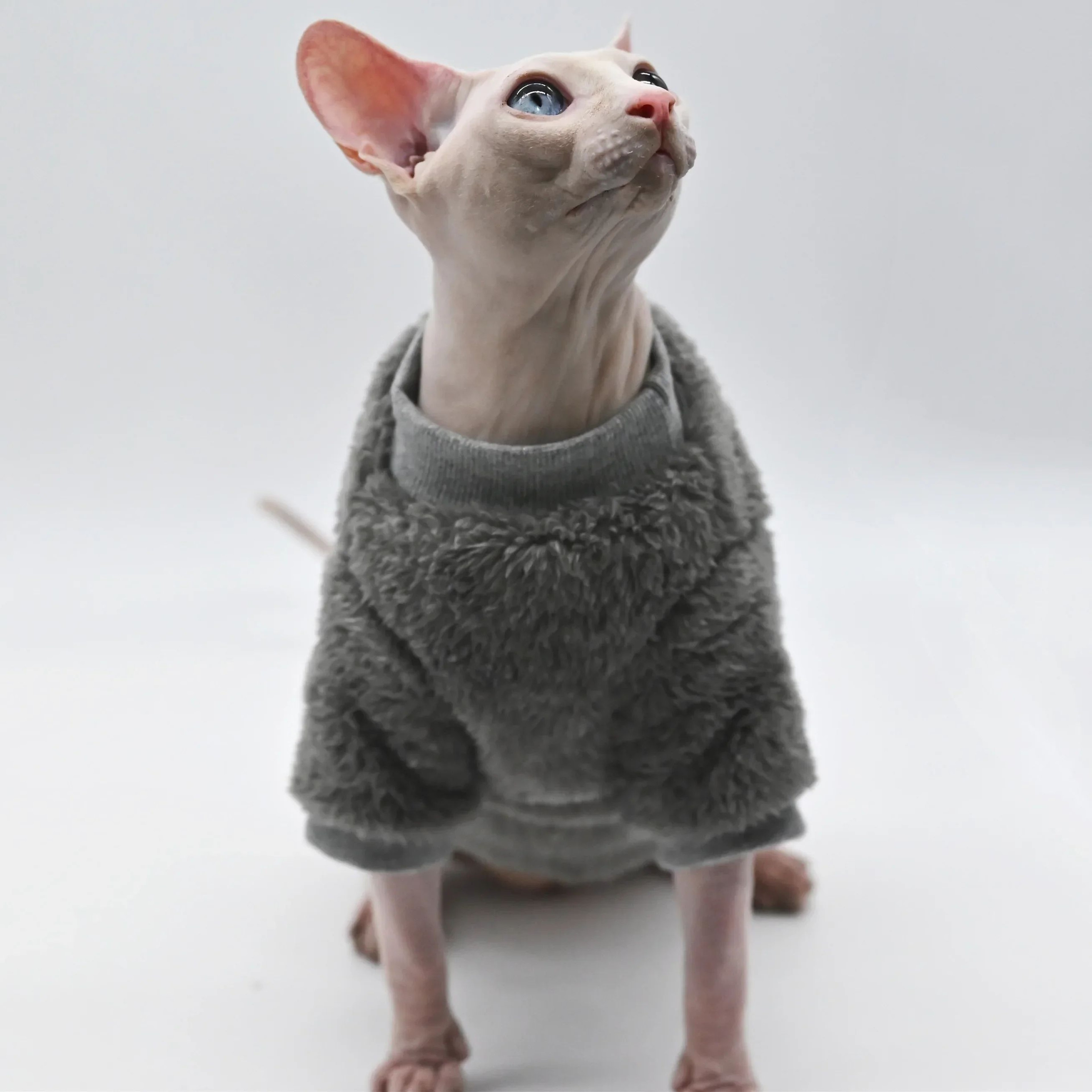 Warm Double Sided Winter Jacket For Sphynx And Hairless Cats 7