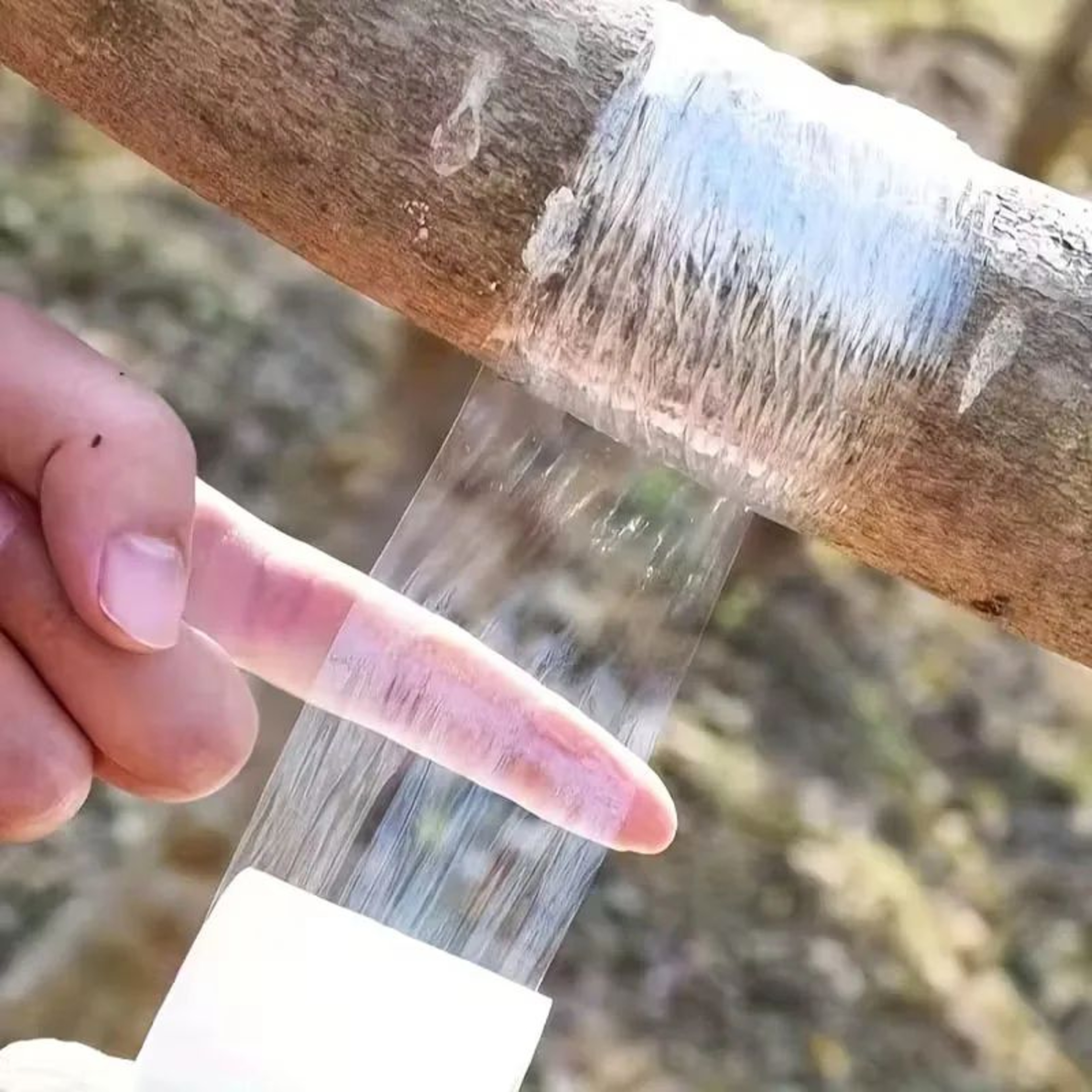Stretchable PE Grafting Tape For Fruit Trees And Plants 3