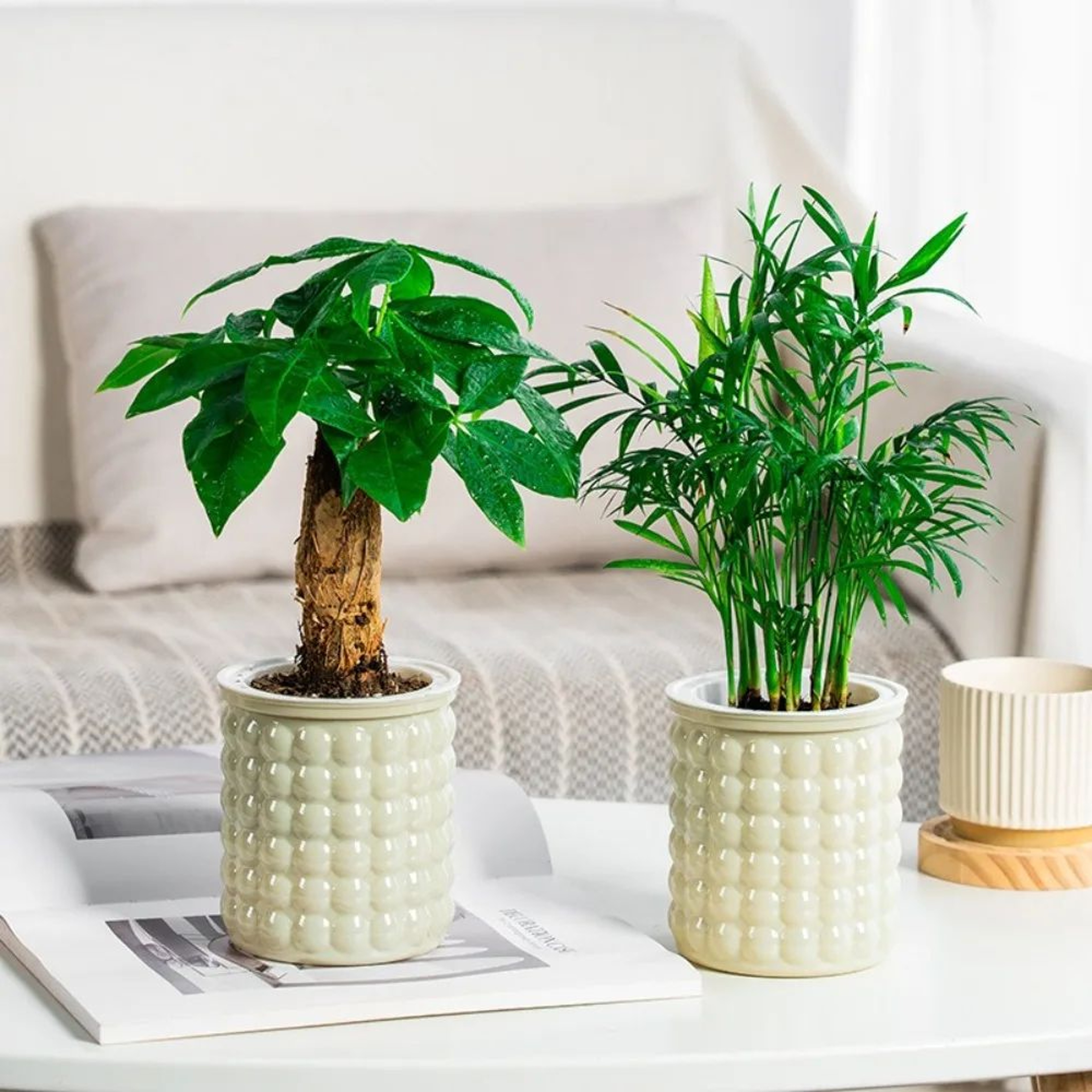 Self Watering Plant Pot Hydroponic Planter For Indoor Plants And Succulents 2